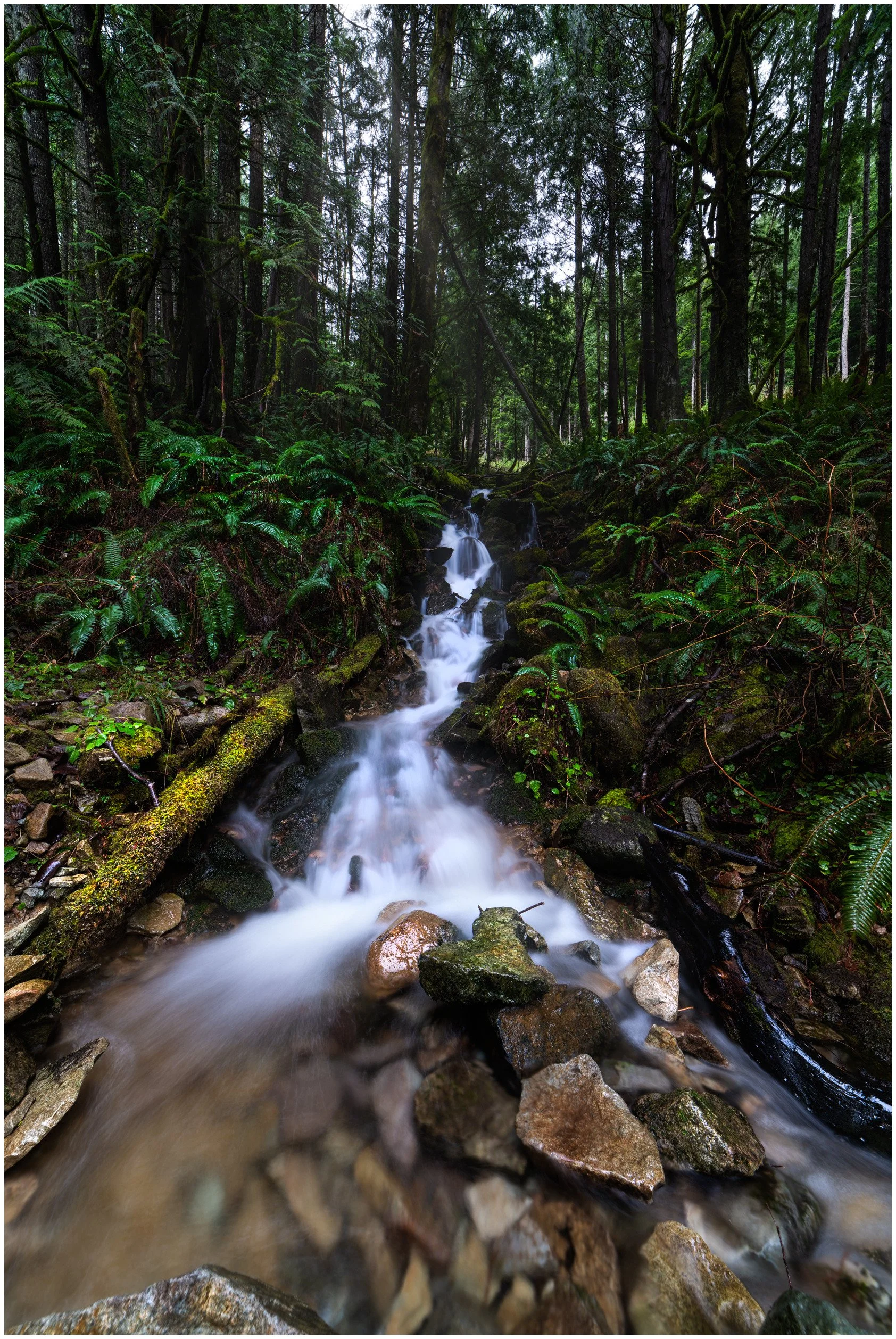 Nature-8_bordered.jpg