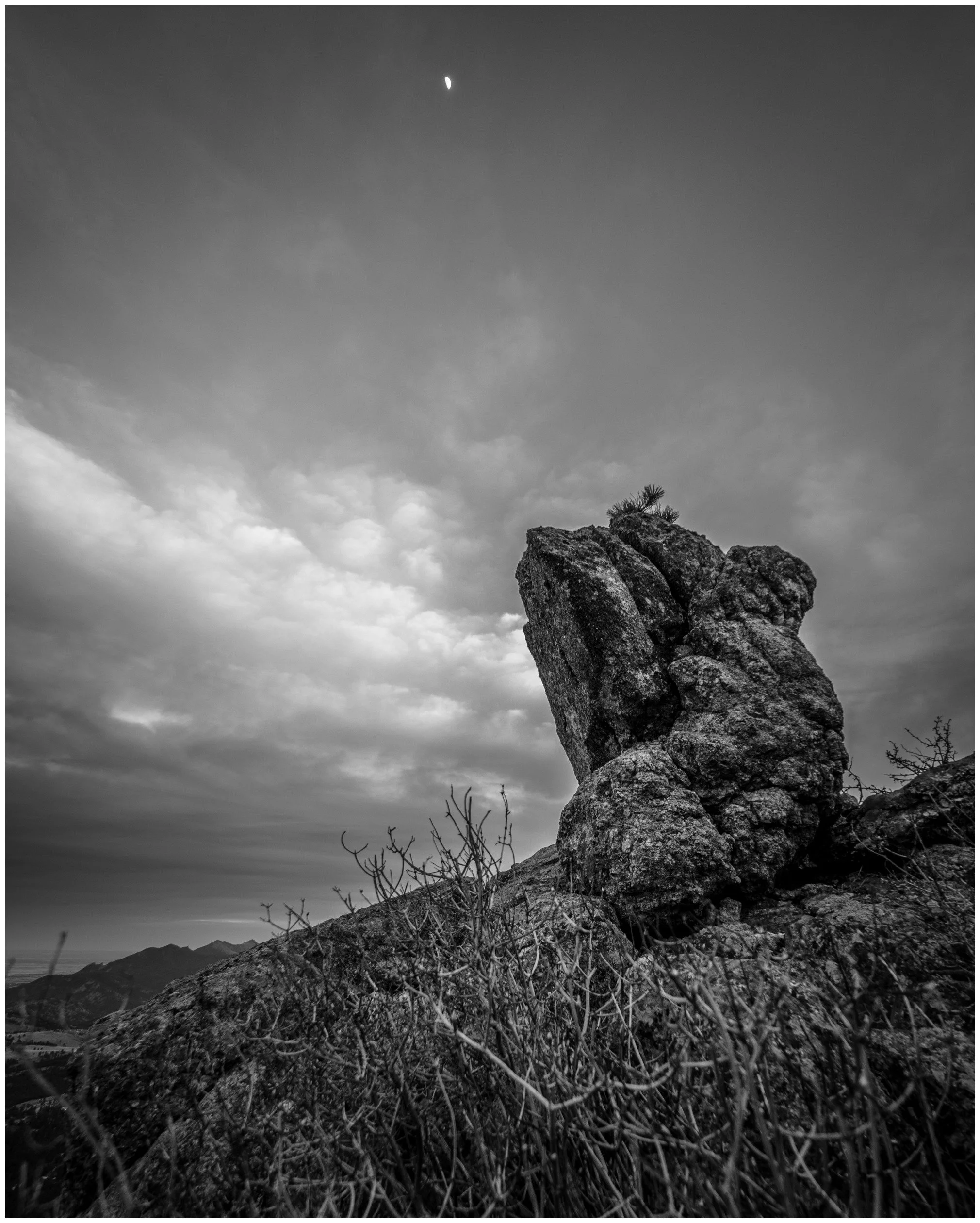 Landscape-31_bordered.jpg