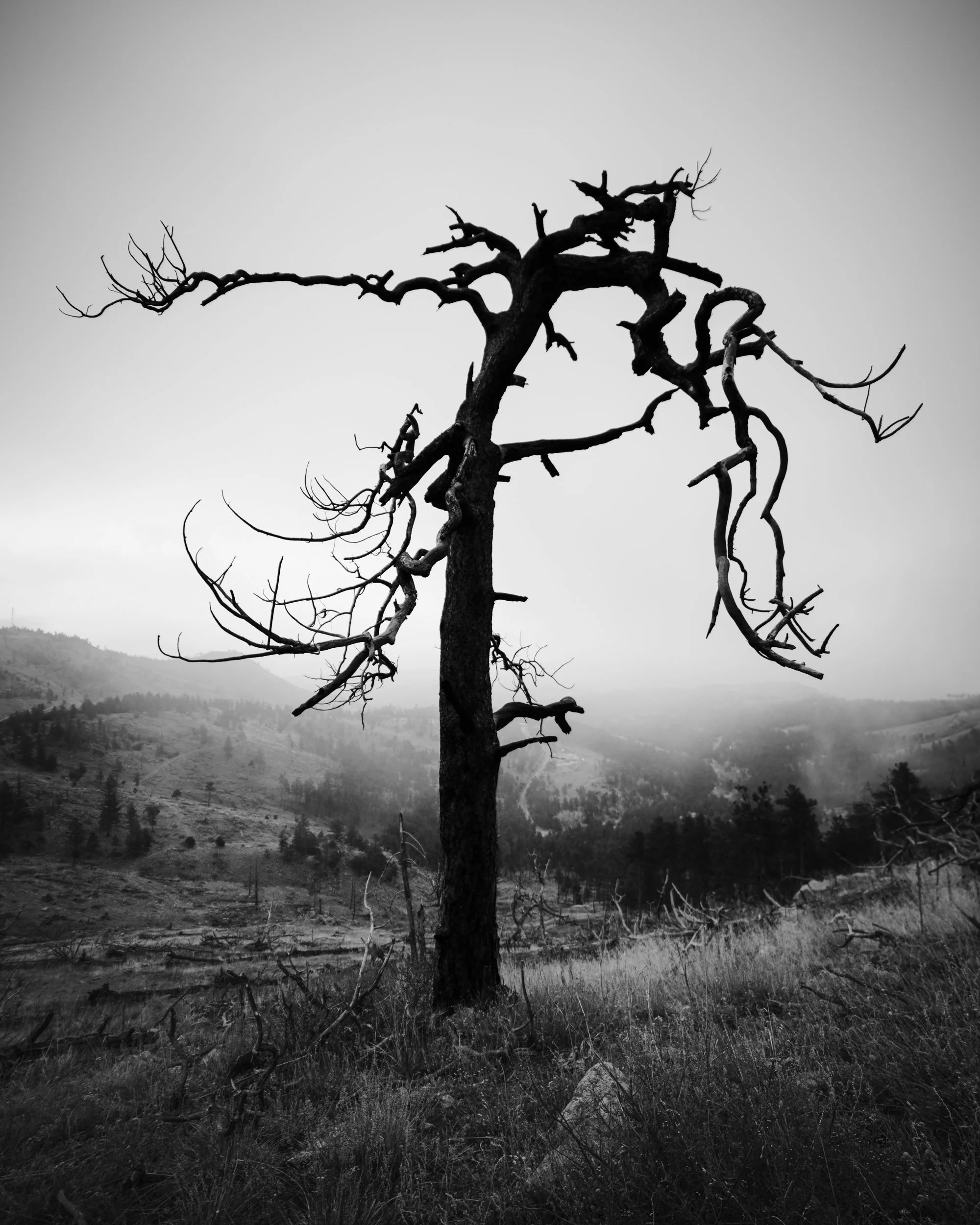 Nature-20.jpg
