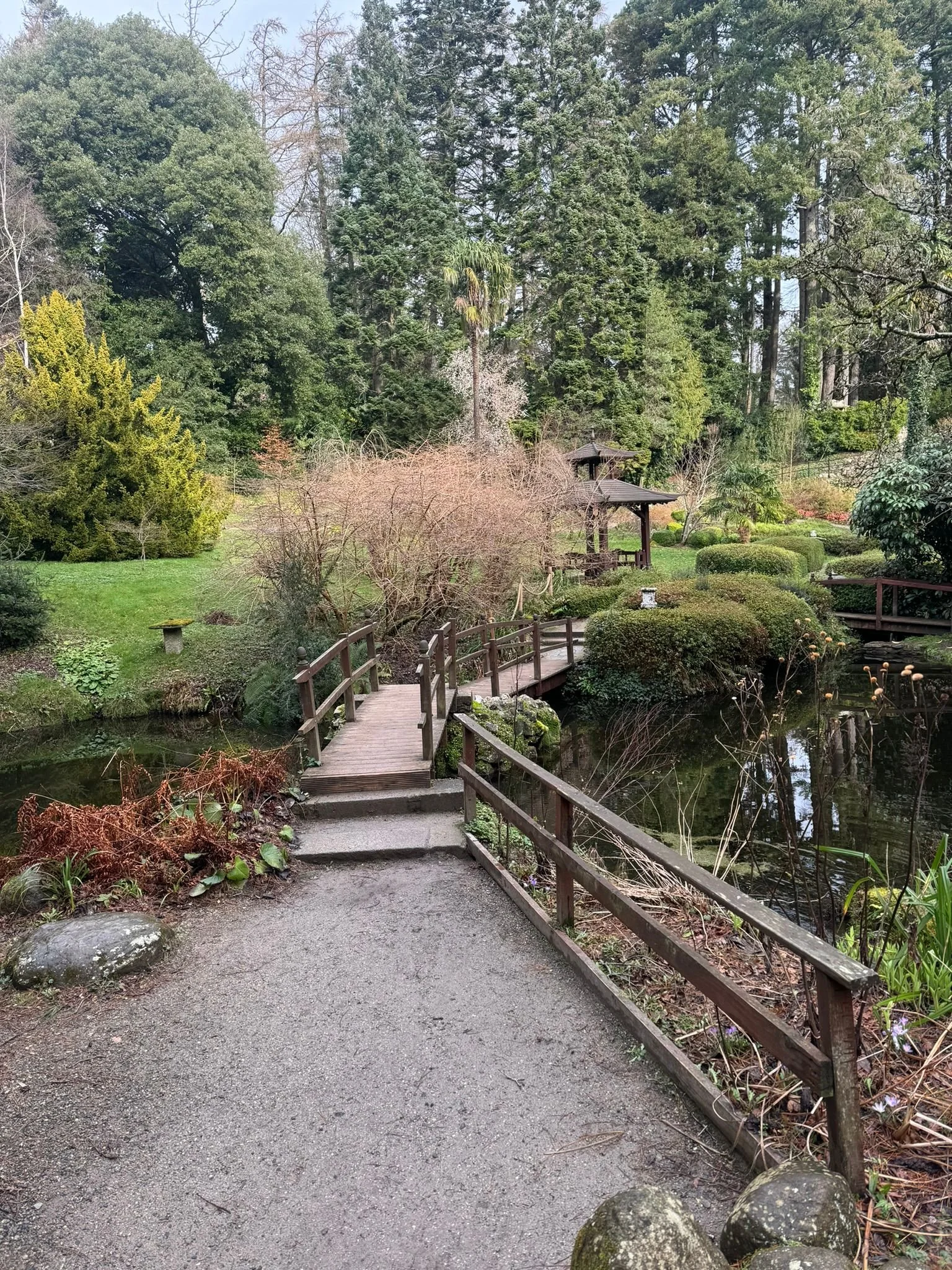 A small wooden footbridge over a pond in a garden with lush greenery, trees, and shrubs.