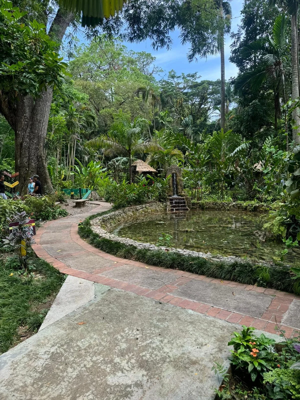 A lush tropical garden with a winding brick and concrete pathway running alongside a pond with clear water and lily pads. Tall trees and dense greenery surround the area, with small thatched huts and a stone water fountain in the background. A few pe