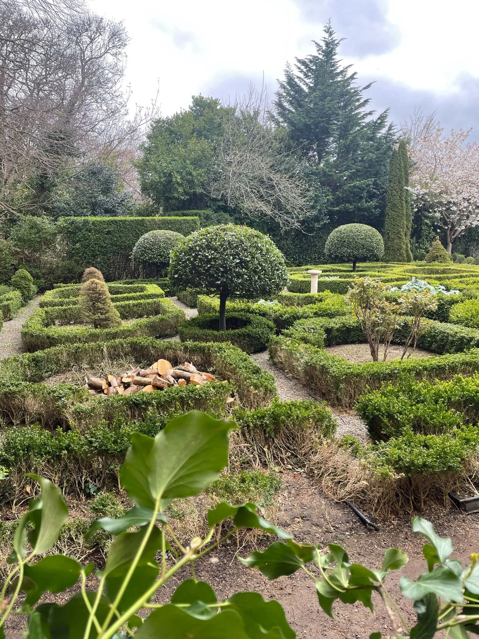 A neatly manicured garden with various shaped bushes, small trees, and pathways, surrounded by larger trees under a cloudy sky.