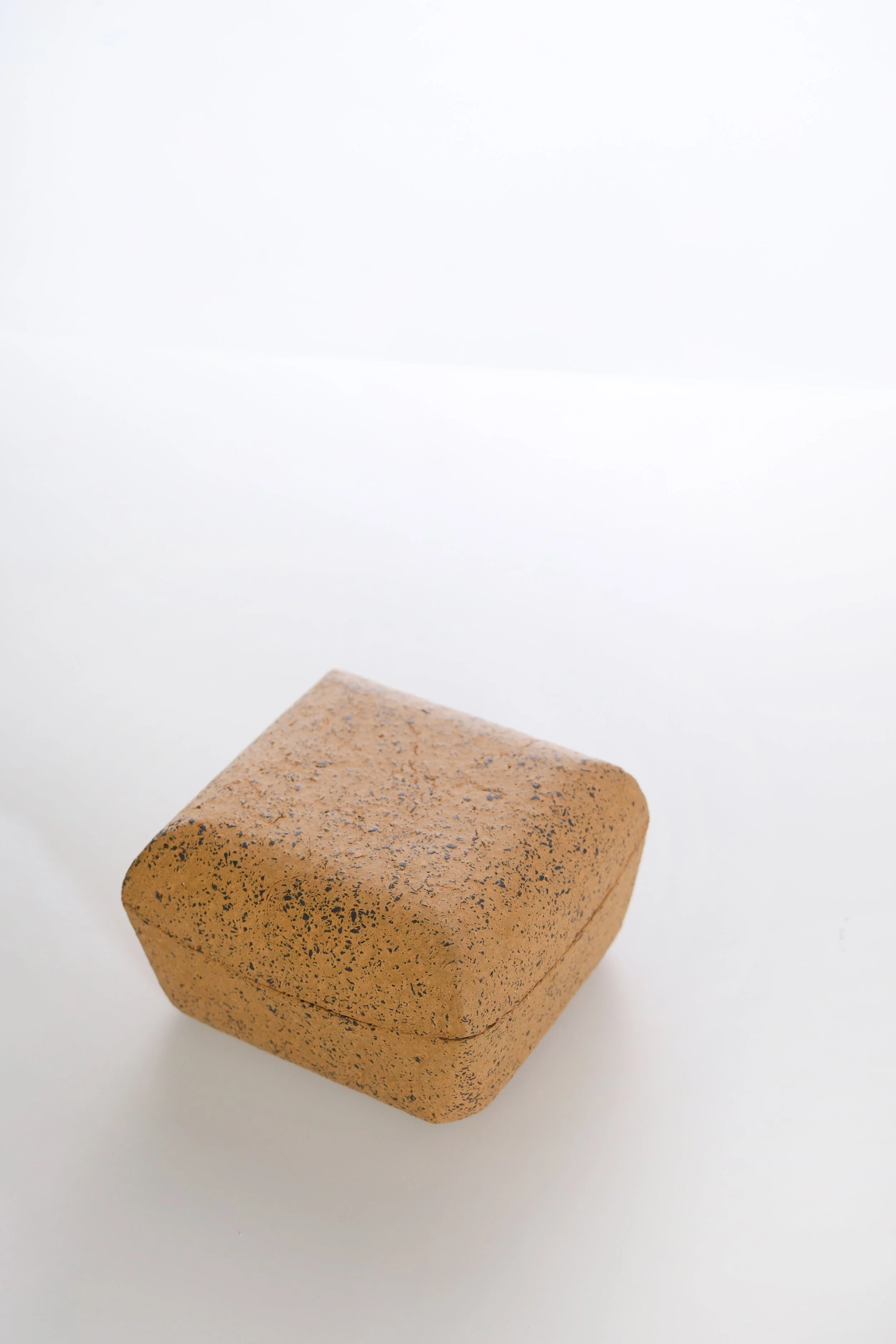 A close-up of a brown, speckled brick on a white surface with a plain white background.