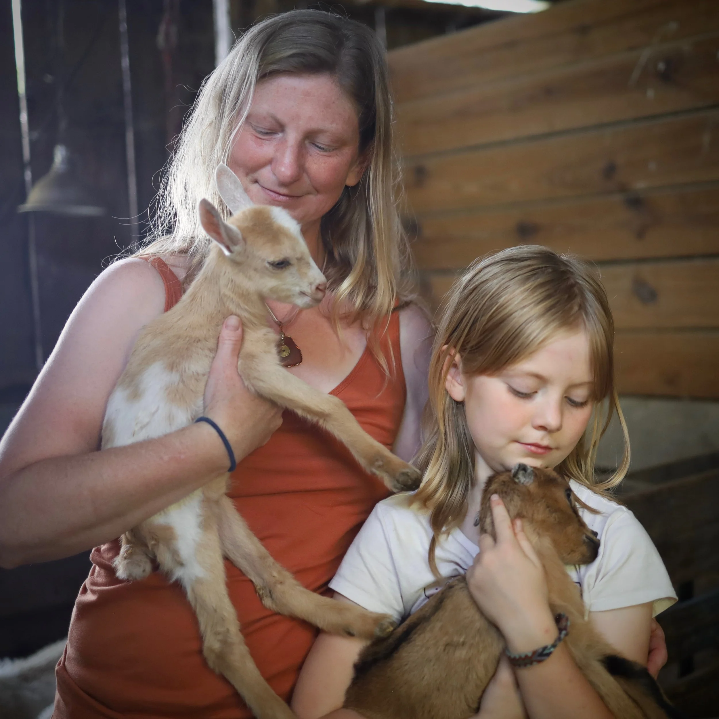 A woman holding a baby goat with a girl holding a baby goat in a barn at Skipwillow Farm