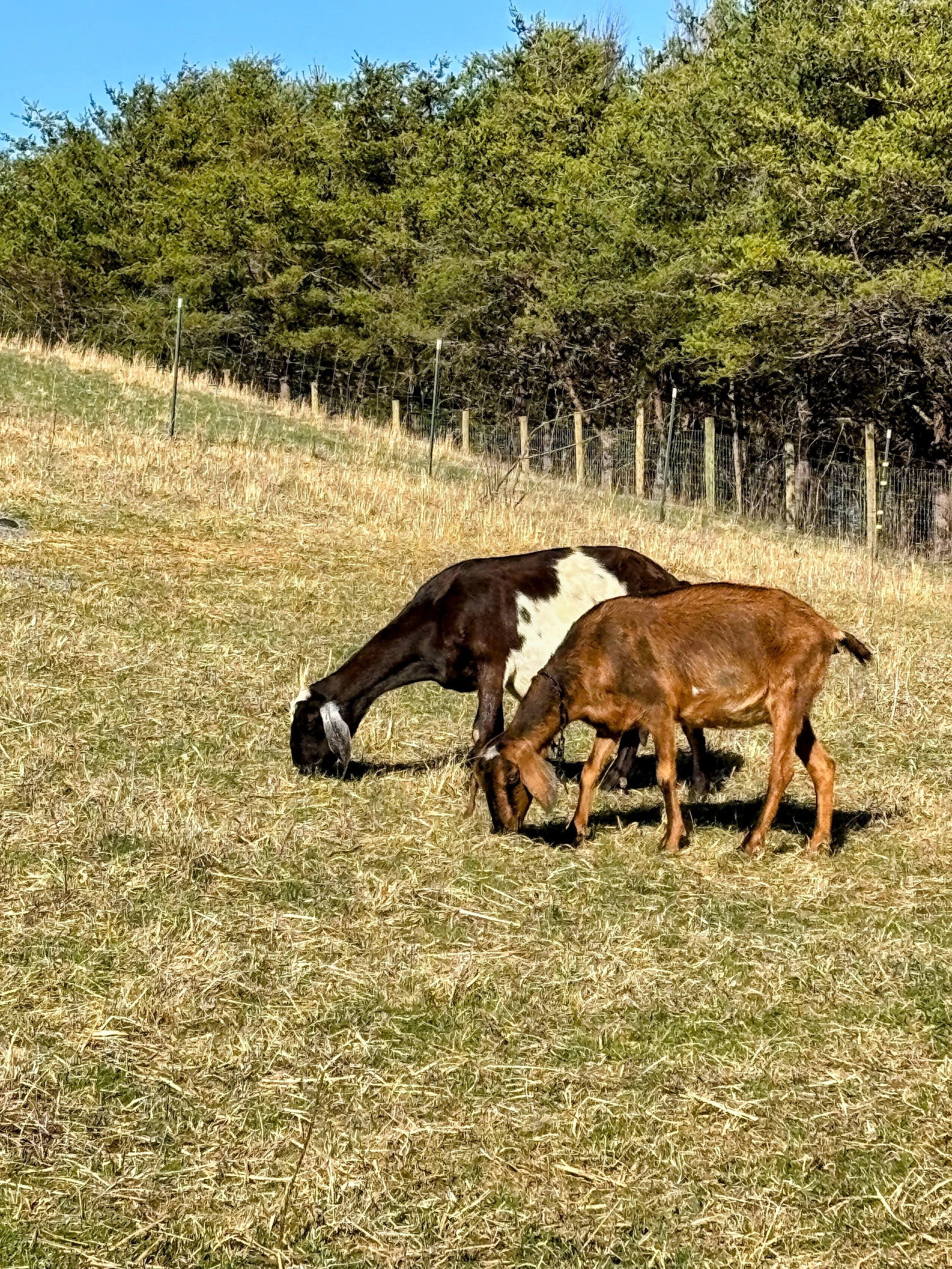 Farm sourced skin care.