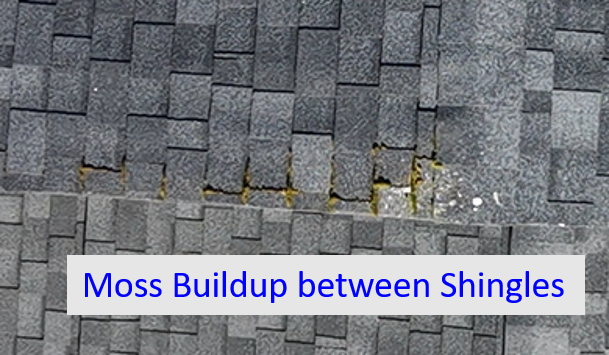 Close-up of a roof with moss buildup between gray asphalt shingles labeled 'Moss Buildup between Shingles'.