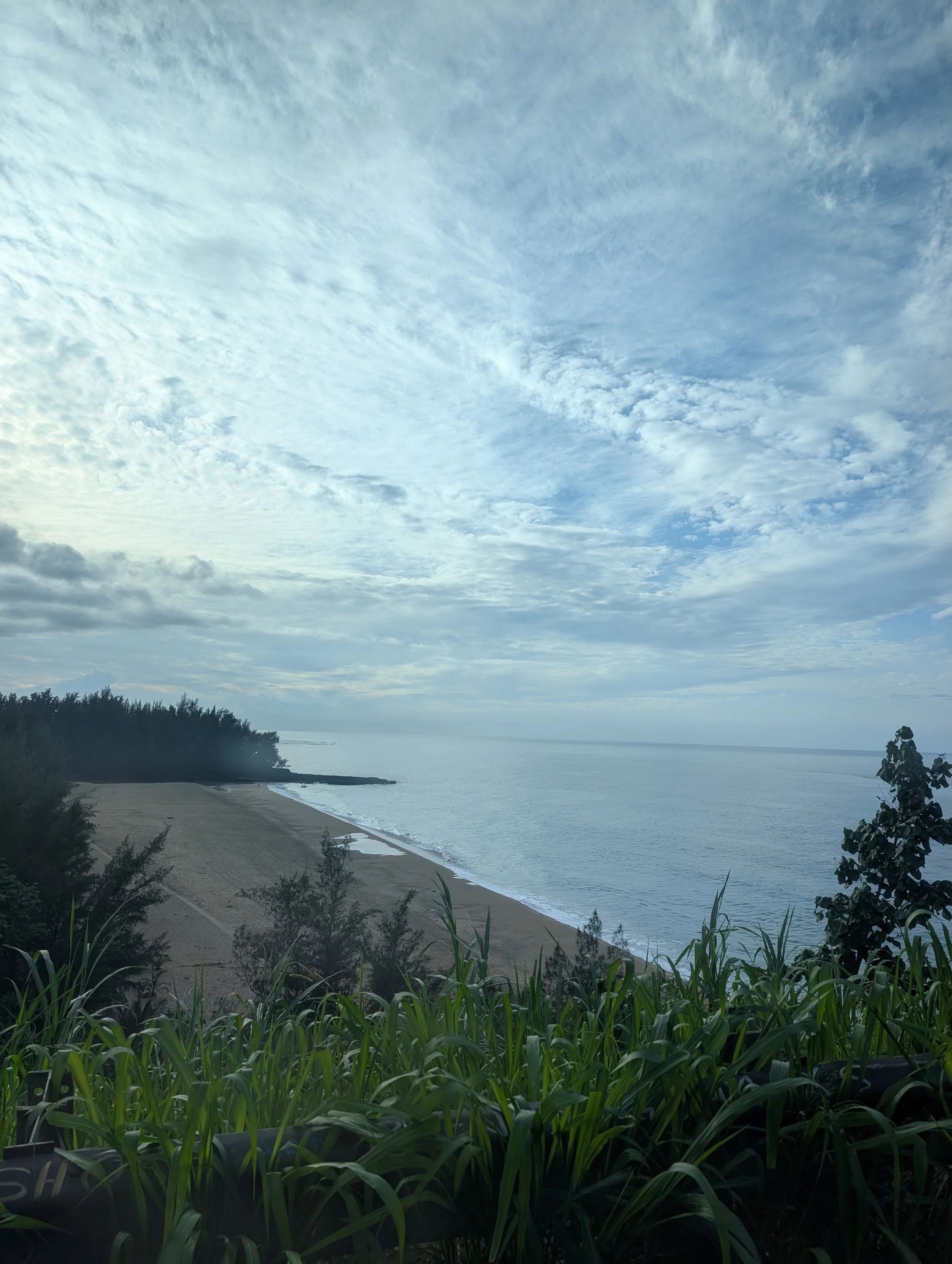 View of a beach with sand, water, and a cloudy sky, with green plants and trees along the shoreline. Kauai, Hawaii.