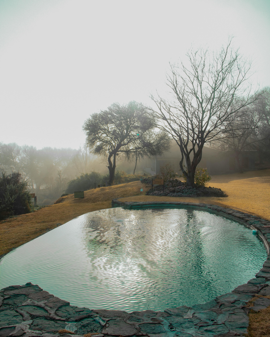 Scenic landscape with a small pond in the foreground surrounded by rocks, leafless trees, and a grassy area under foggy sky.