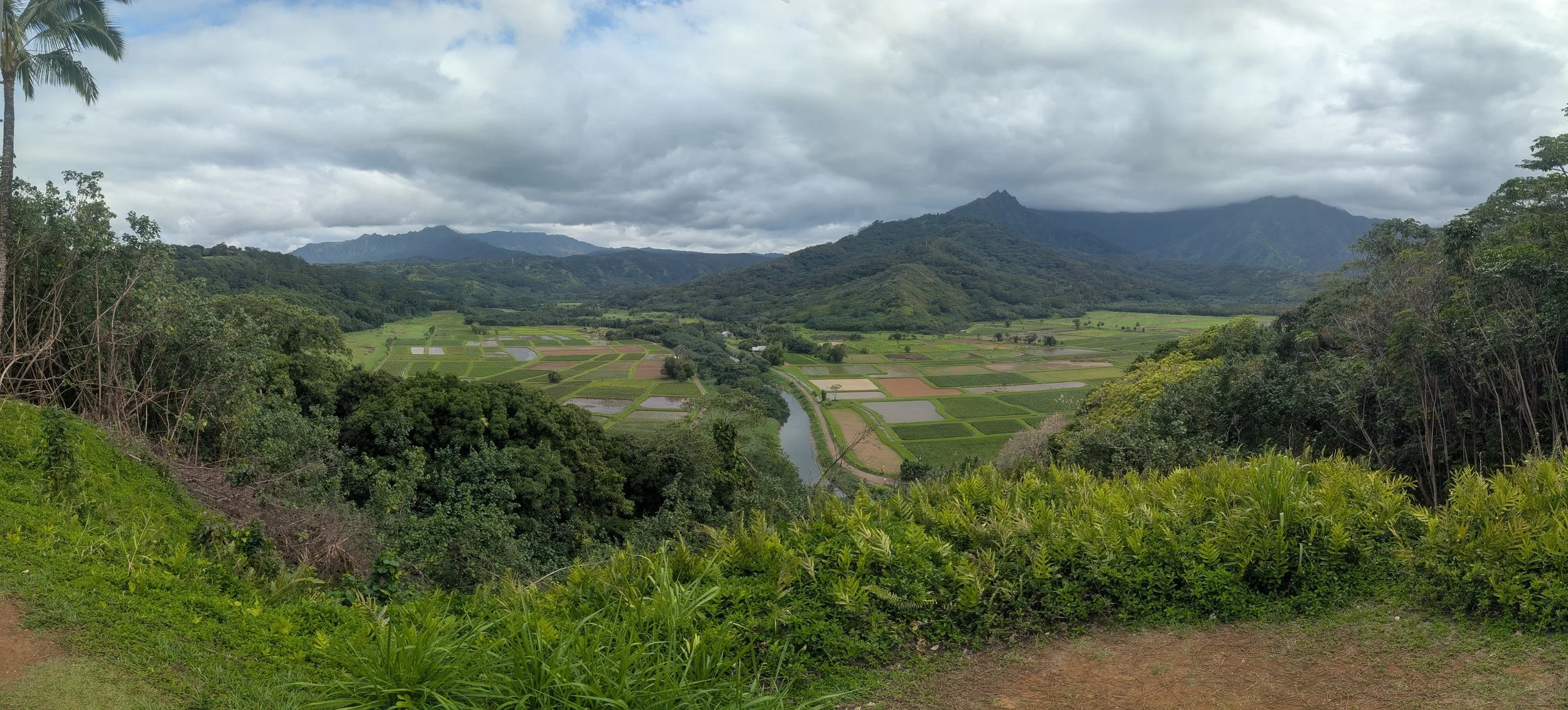 Scenic view of lush green farmland with a winding river, surrounded by dense trees and mountains under a cloudy sky. Taken at Hanalei Valley Lookout, Kauai, Hawaii.