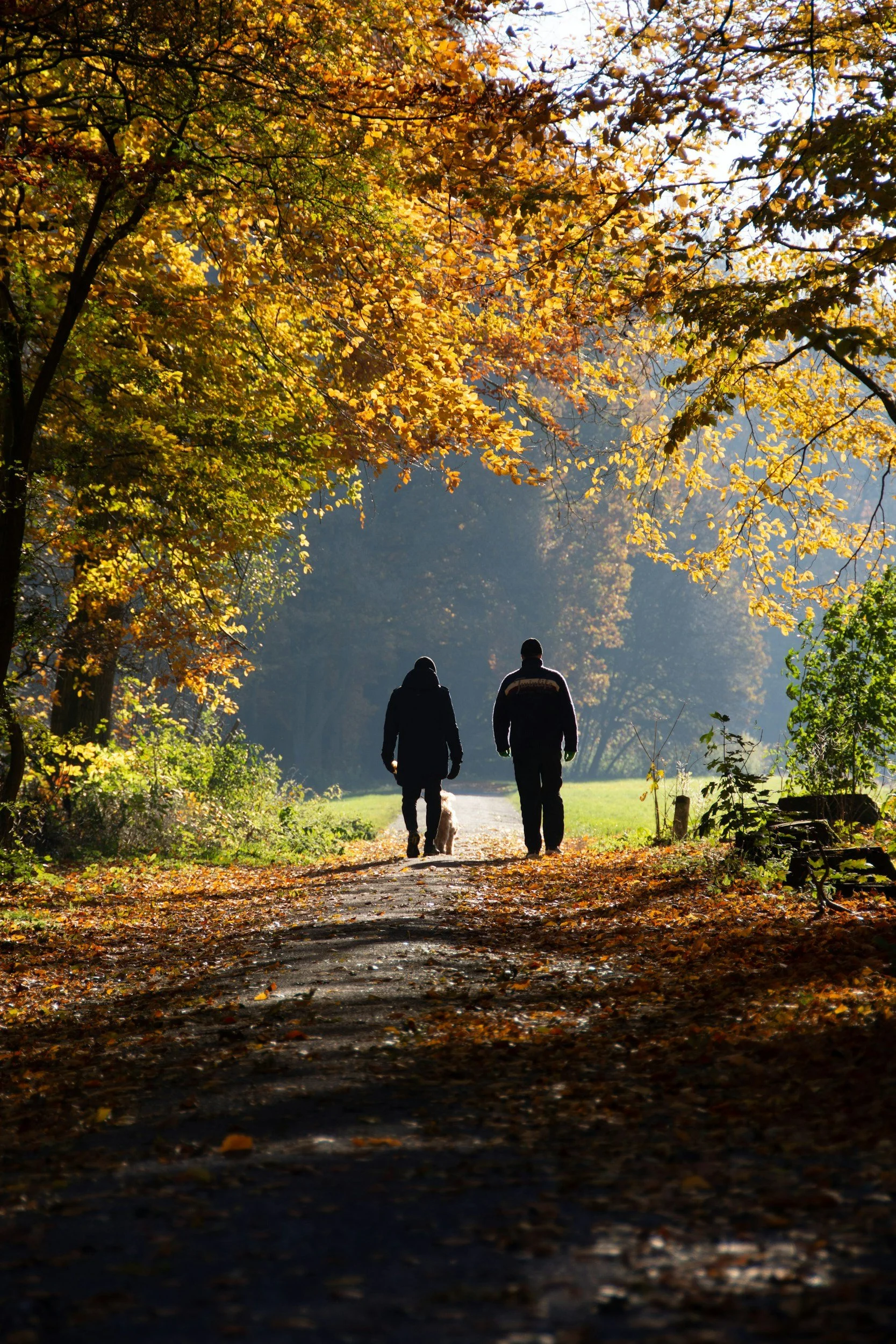 Two people walking on a leaf-covered path on the Home page for Unbound Healing & Counseling with Joann Chevaillier.