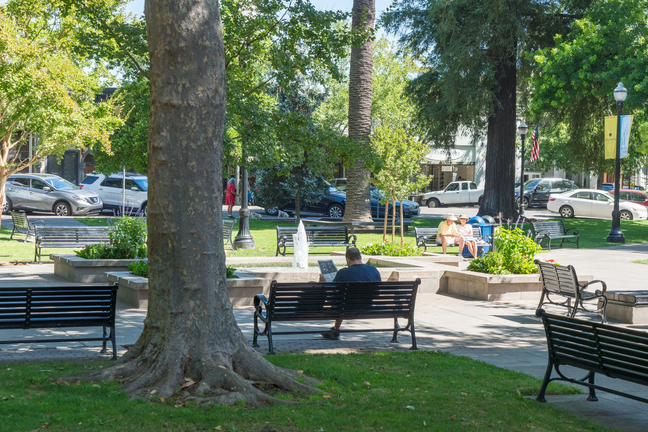 City park with benches, trees, and a water fountain in the foreground. People sitting on benches and walking, cars on the street in the background, with buildings and signs.