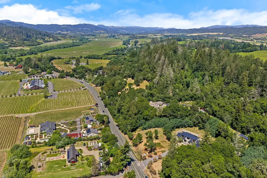 Aerial view of a lush green landscape with vineyards, houses, and a forested hillside under a partly cloudy sky.