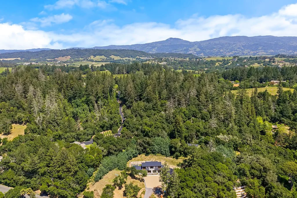 Aerial view of a lush green forest with scattered houses and a winding road, with hills and mountains in the background under a partly cloudy sky.