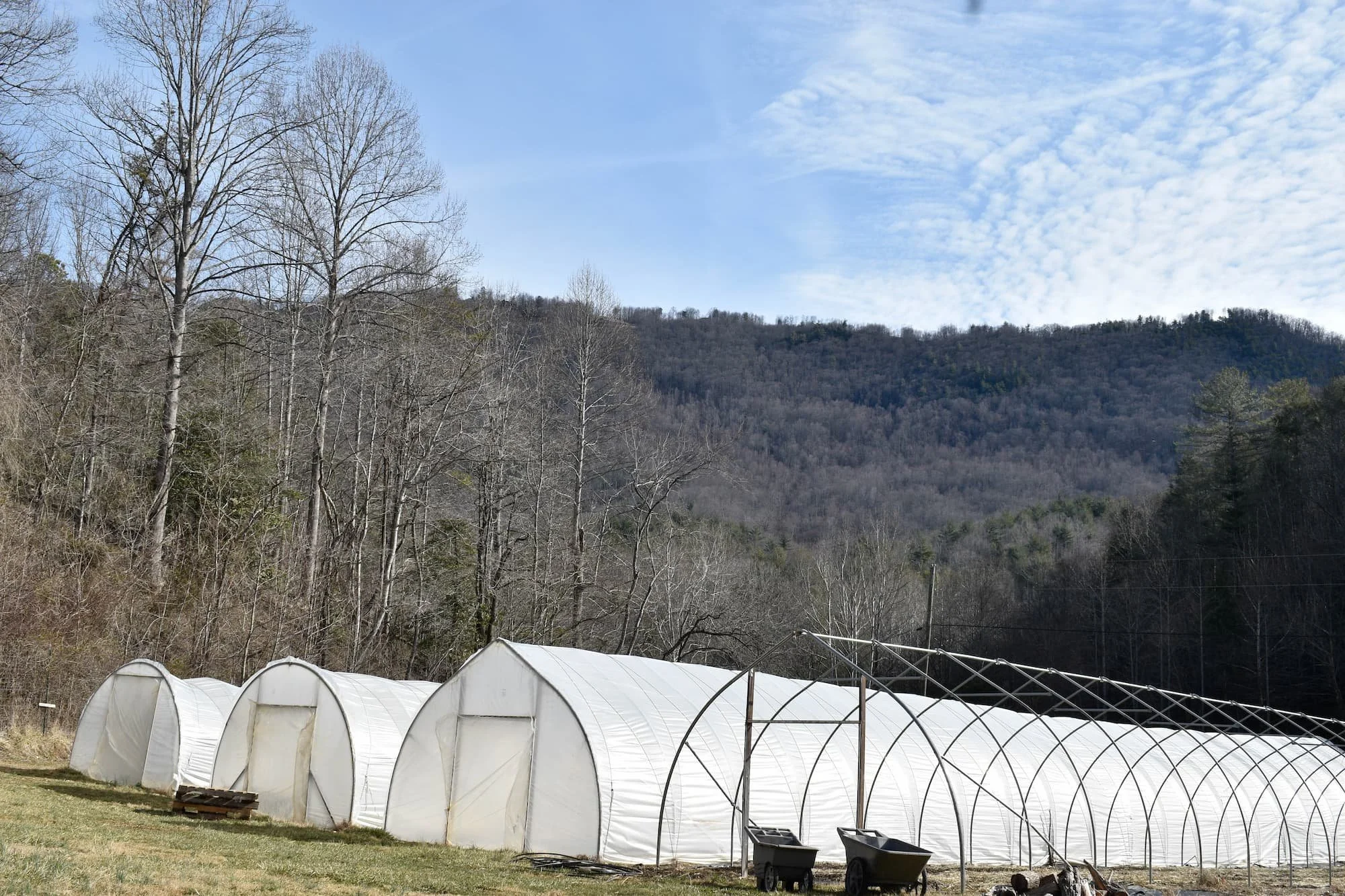 Though the weather was chilly and the trees hadn't begun to bloom yet, there was no shortage of work to be done on the farm.