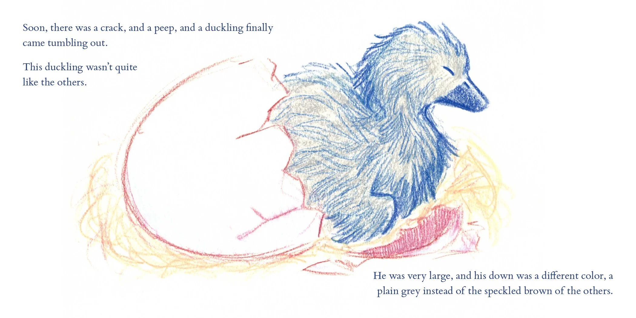 duckling5.jpg