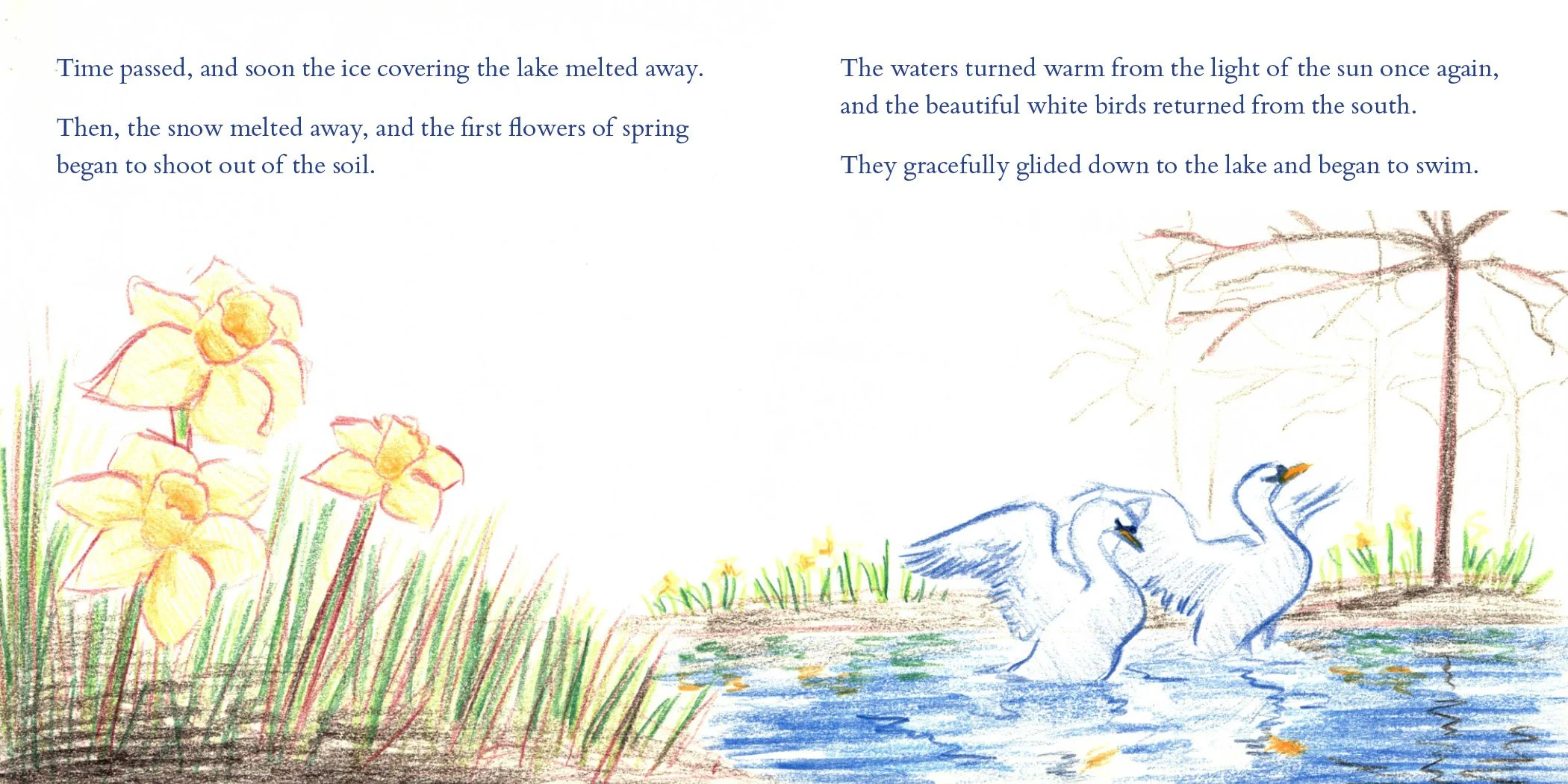 duckling20.jpg