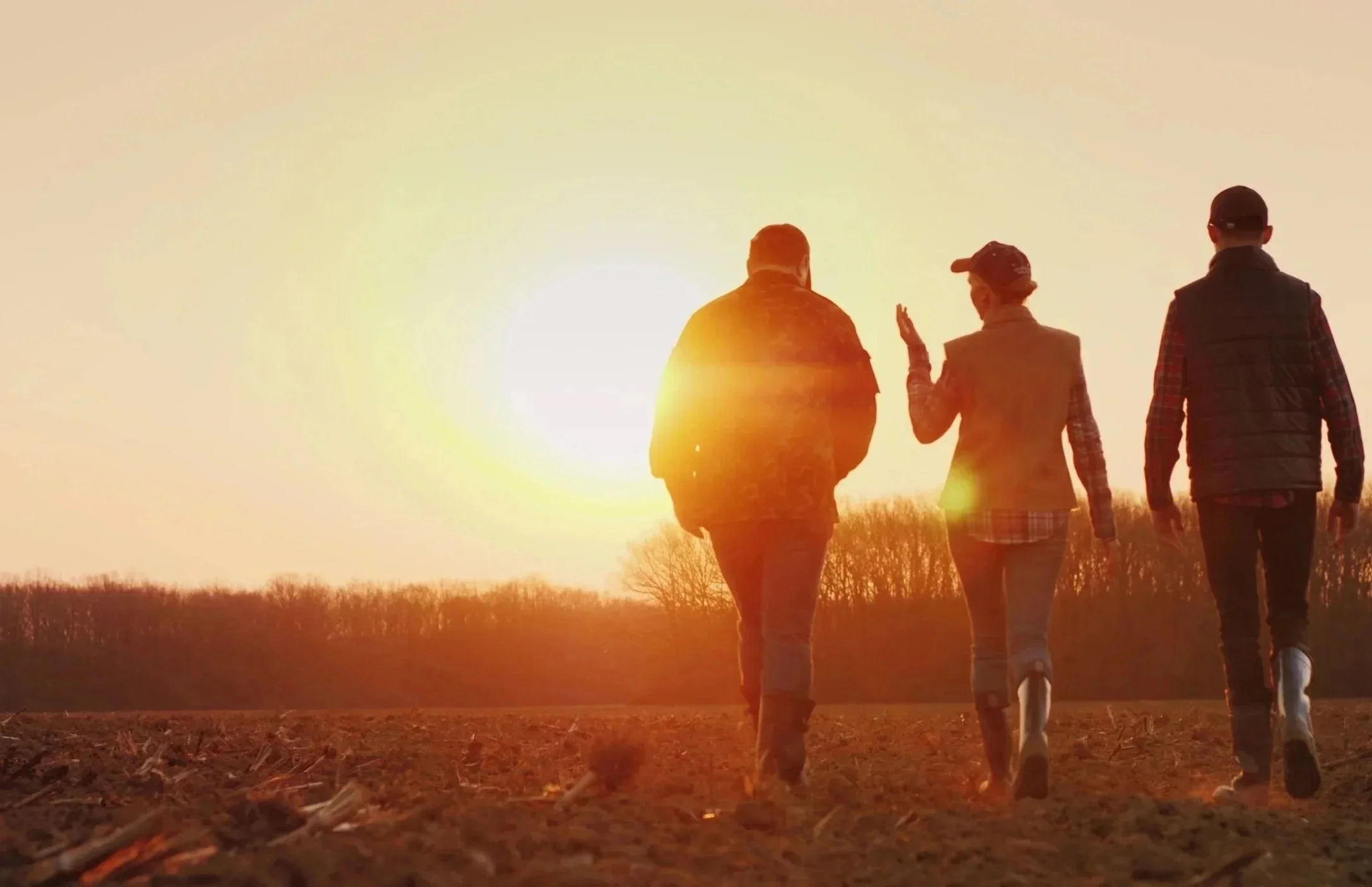 Three people walking together during sunset or sunrise in an open field.