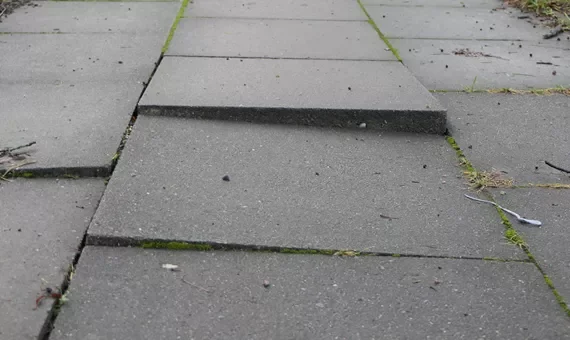 Close-up of a concrete sidewalk with a small step, moss growing between the cracks.