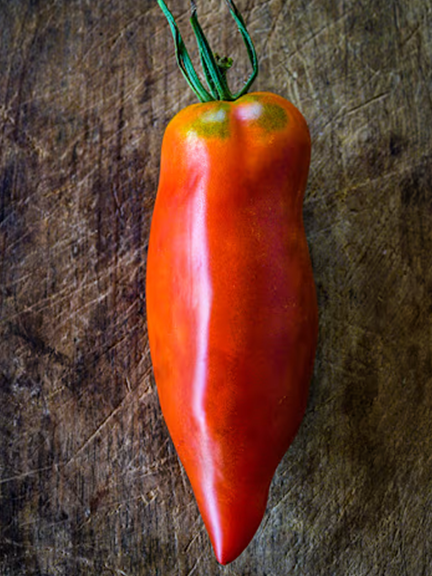 Jersey Devil Tomato