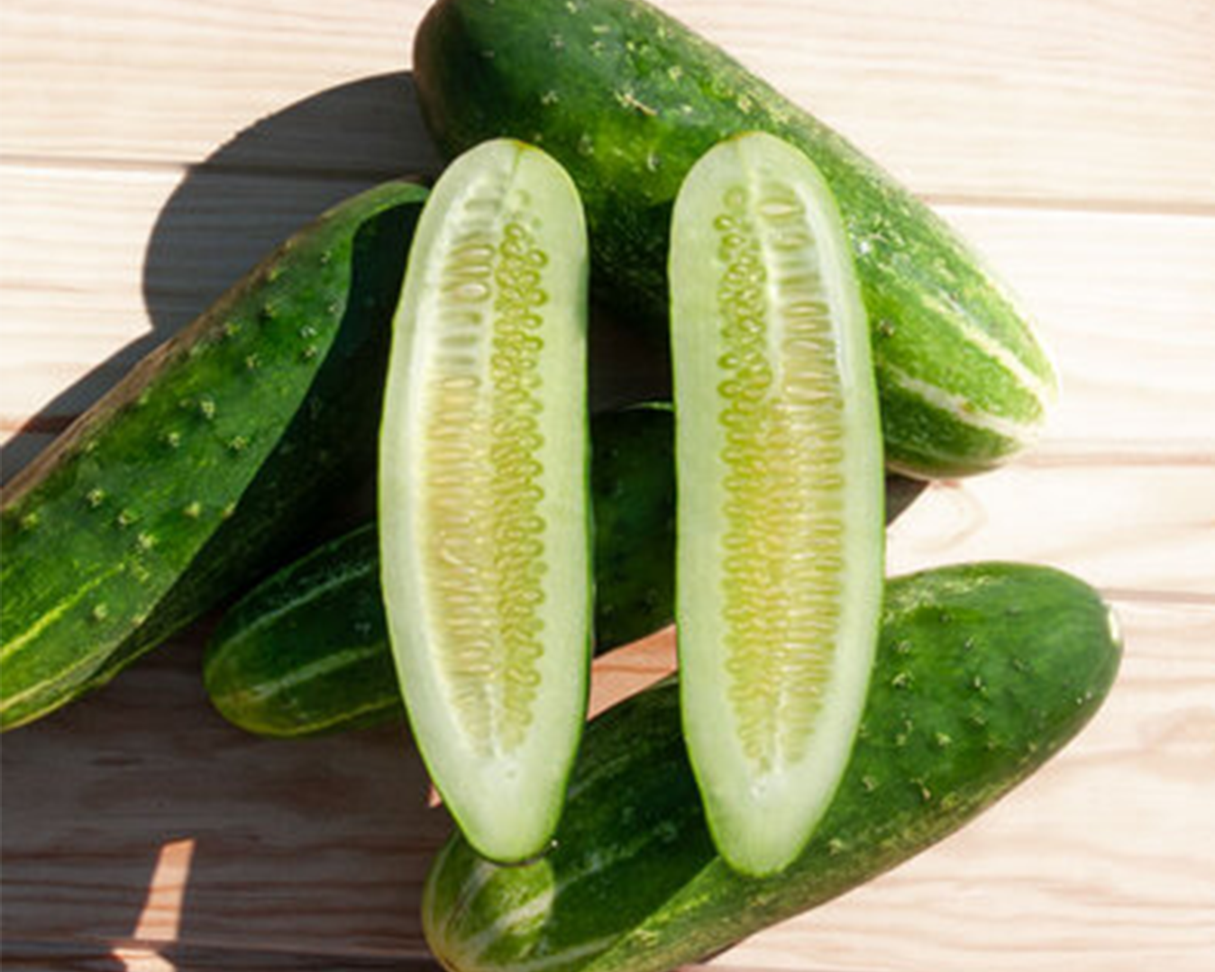 Early Fortune Cucumbers
