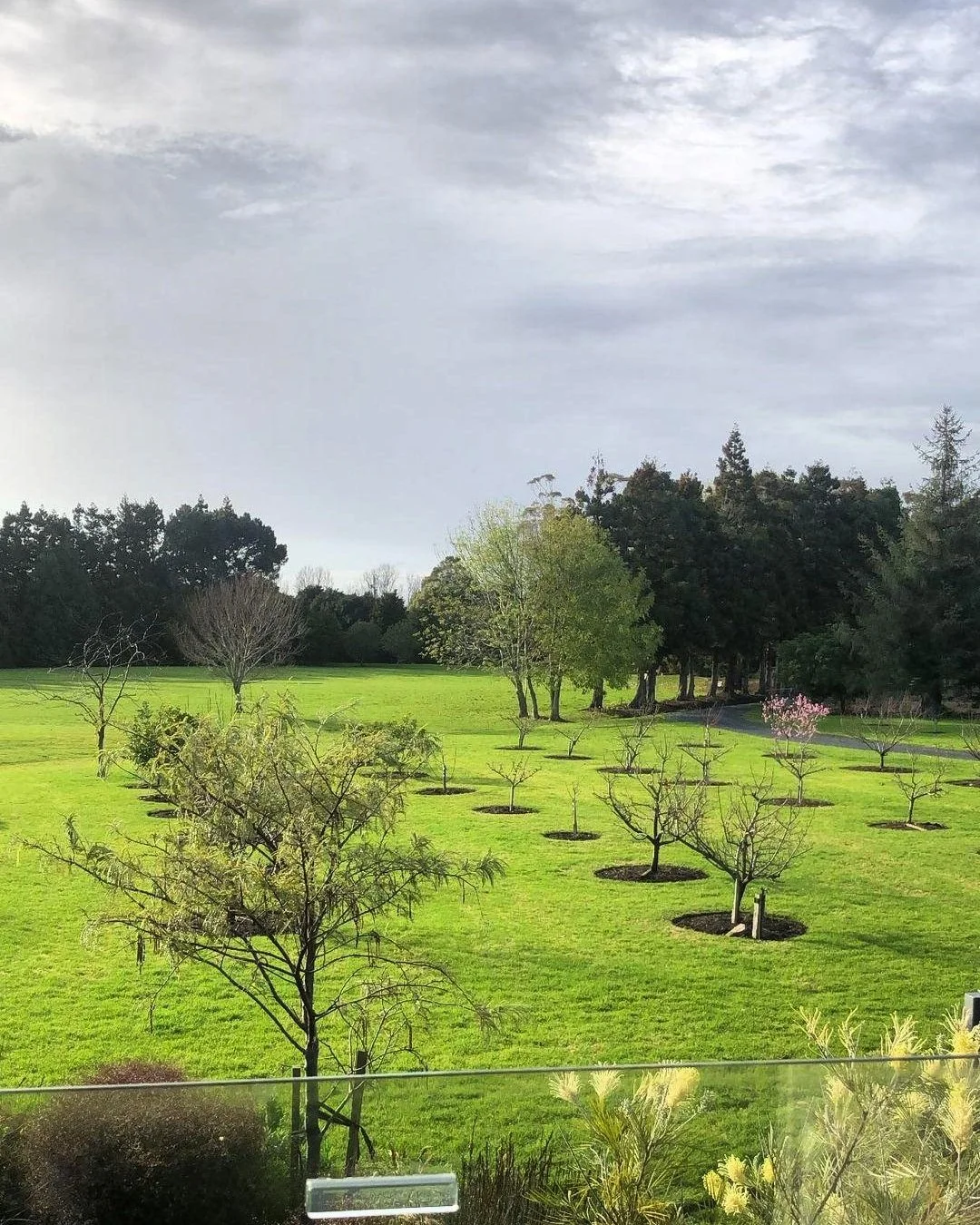 A well-maintained park or garden with green grass, is small trees, and a backdrop of taller trees. The sky is partly cloudy.
