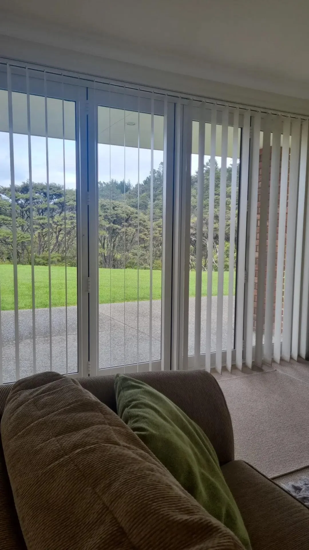 Living room with large sliding glass doors and white vertical blinds, overlooking a grassy yard with trees in the distance.