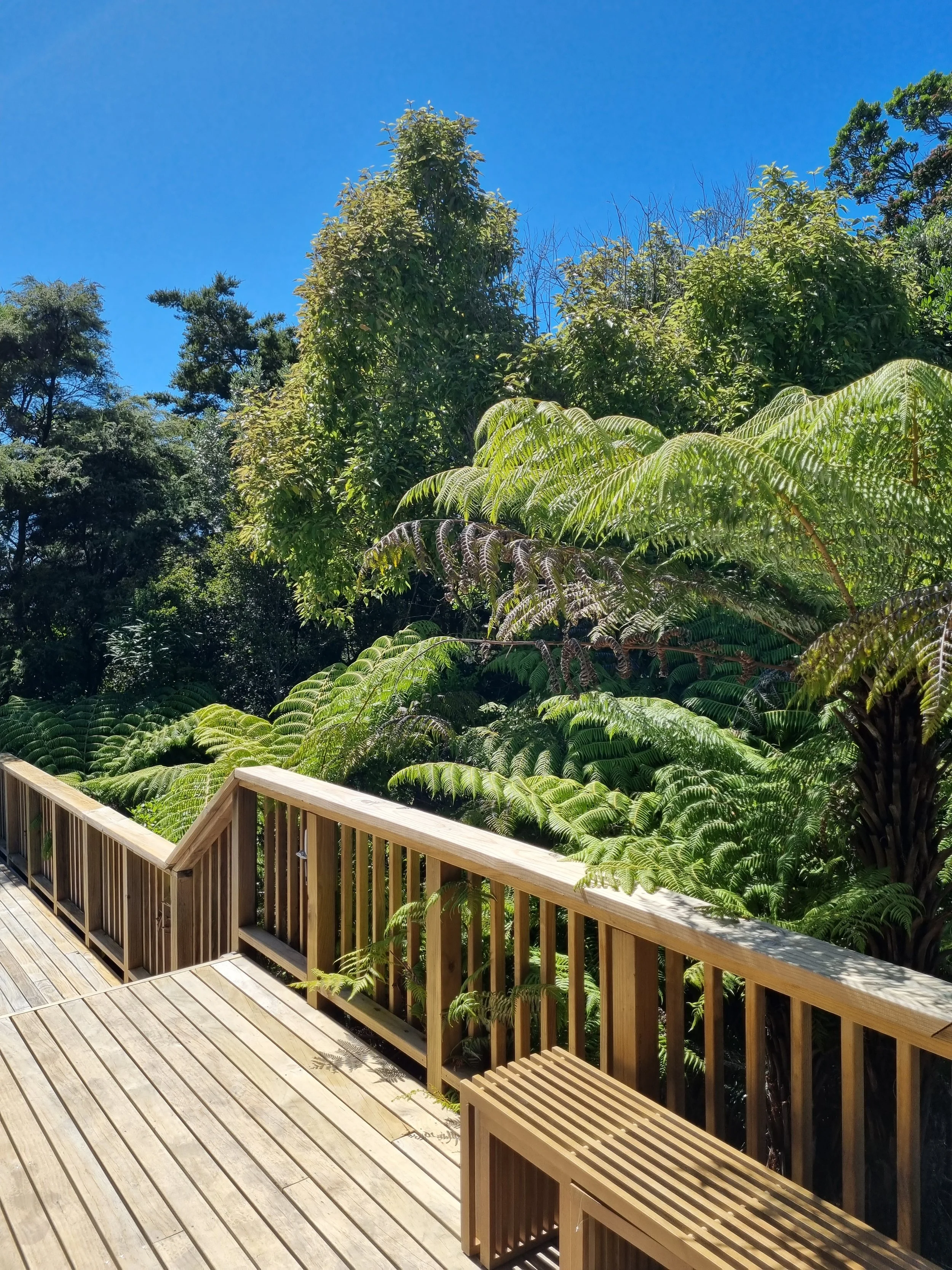 Wooden boardwalk with benches and railing overlooking lush green trees and blue sky.