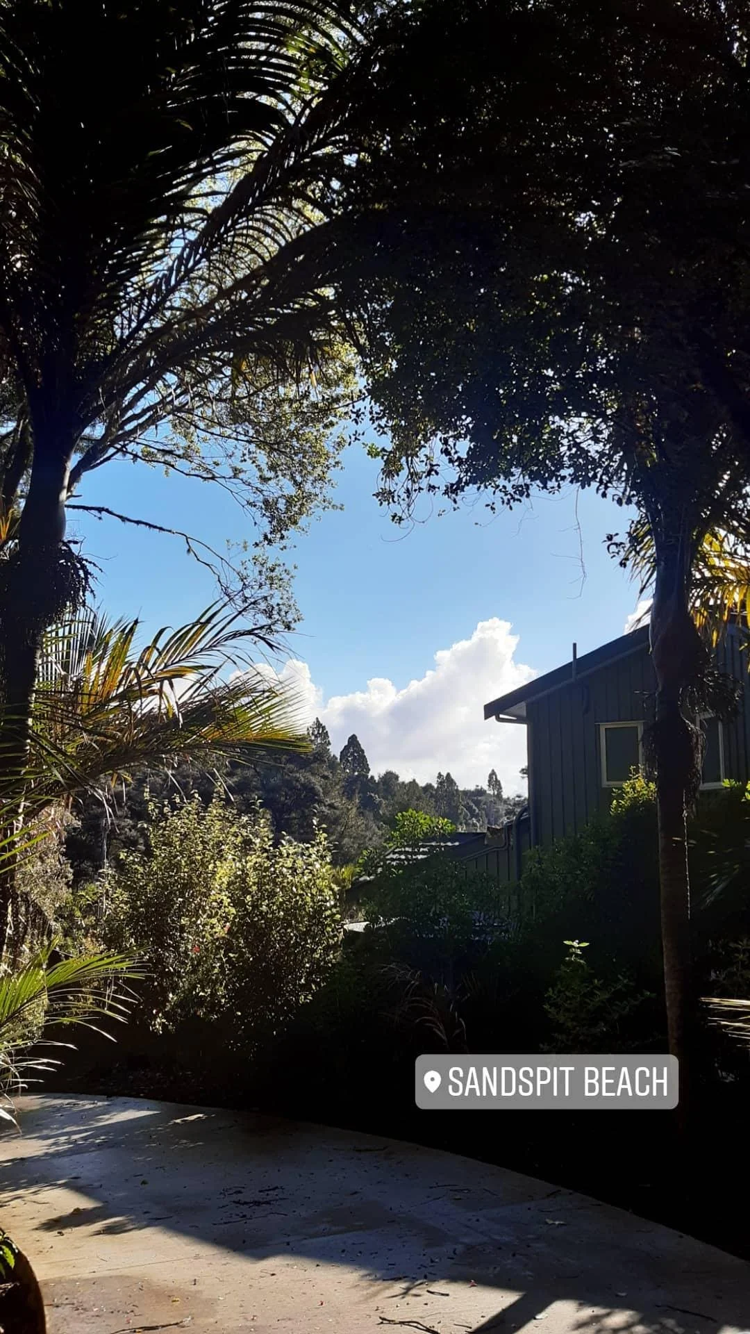 Treetops and plants in a backyard scene at Sandspit Beach, with blue sky and white clouds visible through the greenery.