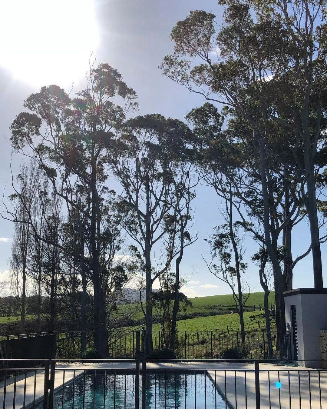Trees with green leaves in a landscape with a swimming pool in the foreground and a blue sky with sunlight.