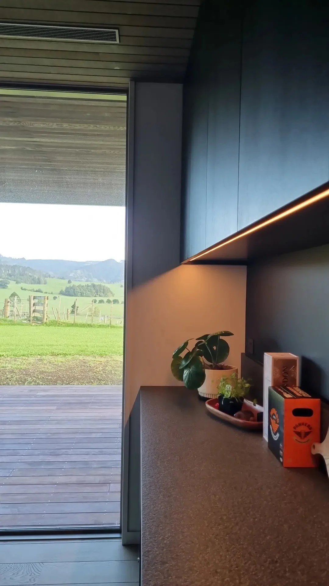 Interior view of a modern room with a countertop, potted plants, and books, overlooking a green landscape through an open sliding glass door.