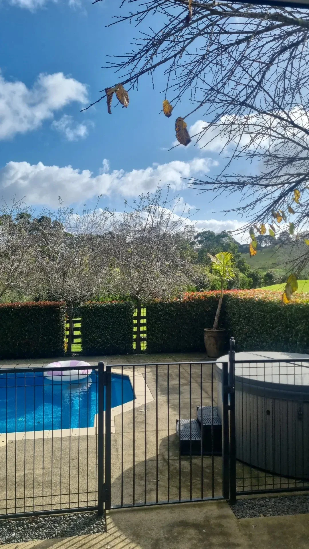 Backyard scene with a swimming pool, a pool float, a black metal fence, potted plants, leafless trees, a hedge, green rolling landscape, and a blue sky with clouds.