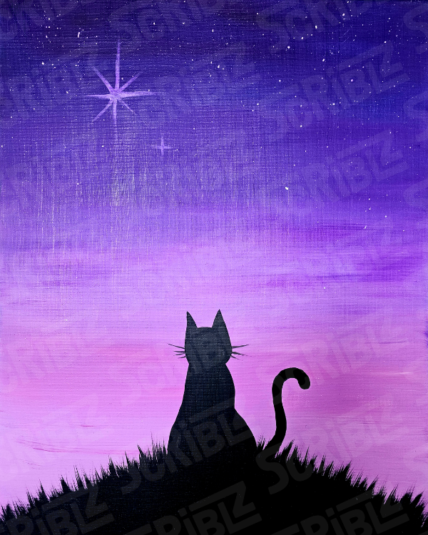 NightCat