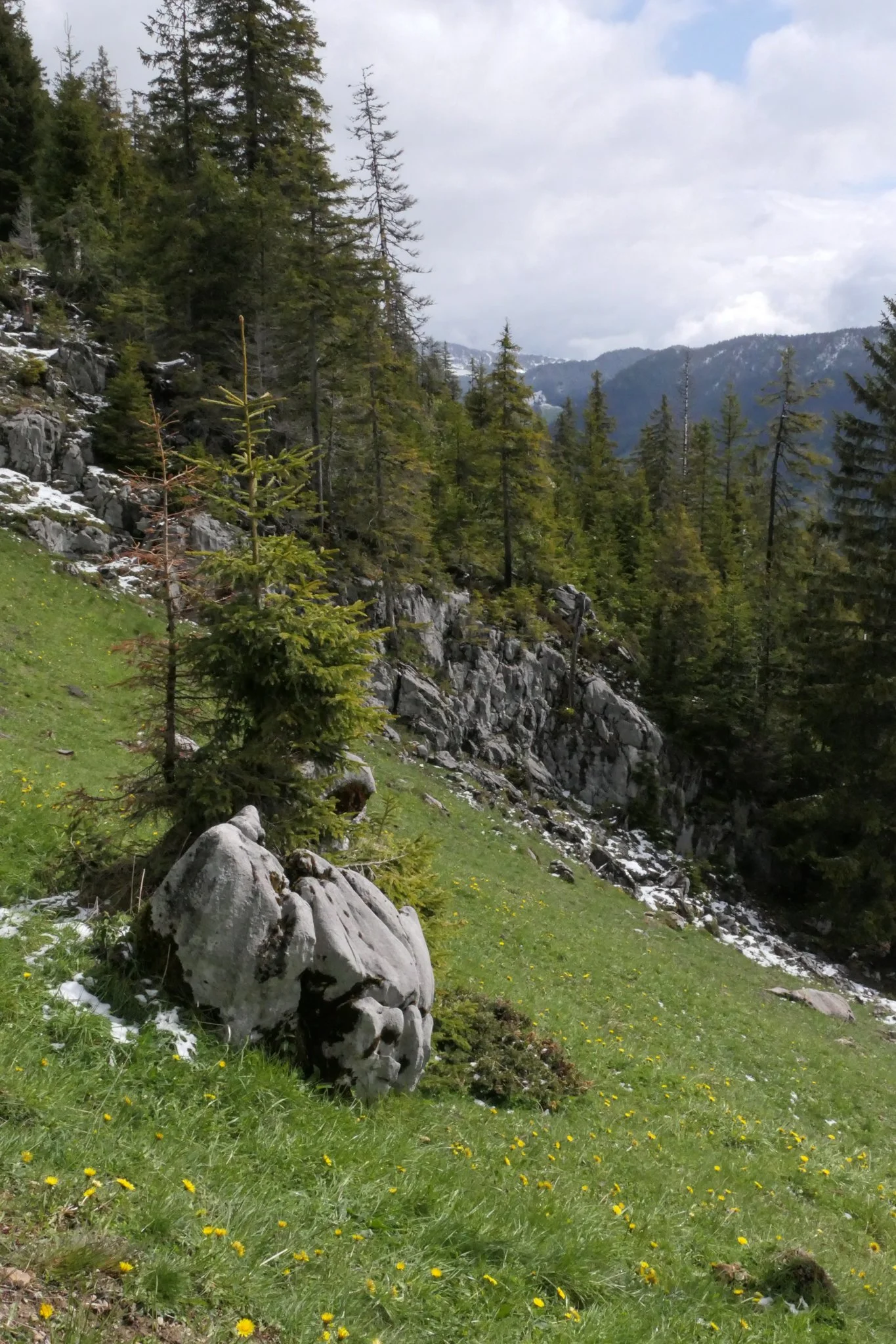 L1023940.jpg