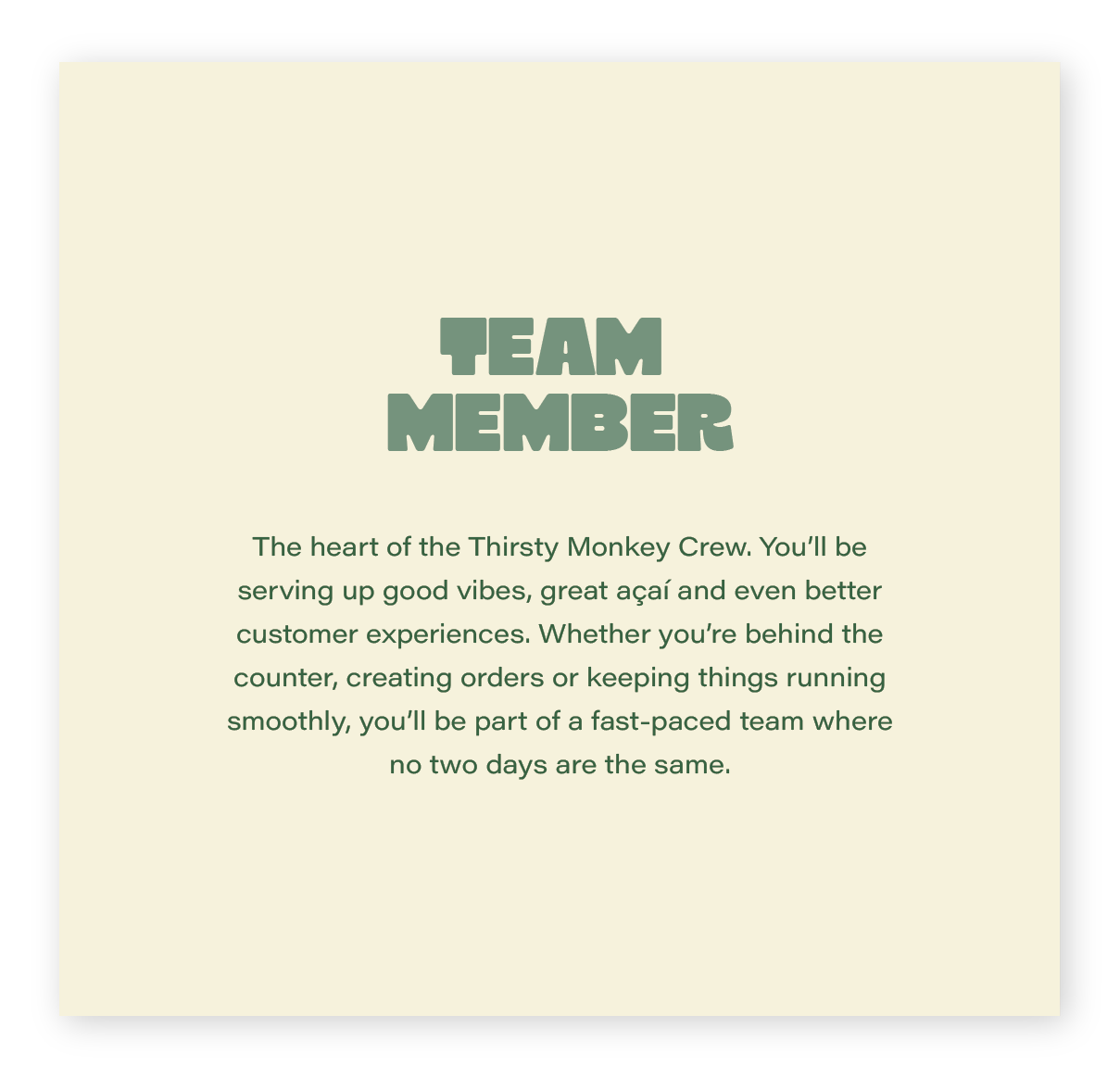 Team Member