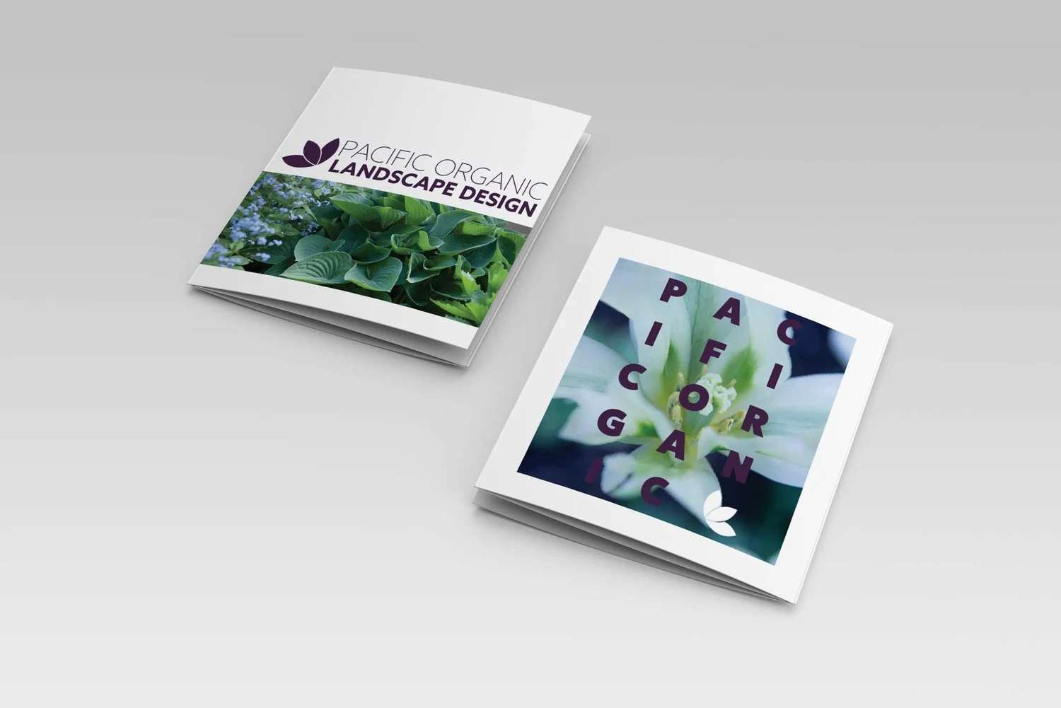 Pacific Organic Pamphlet