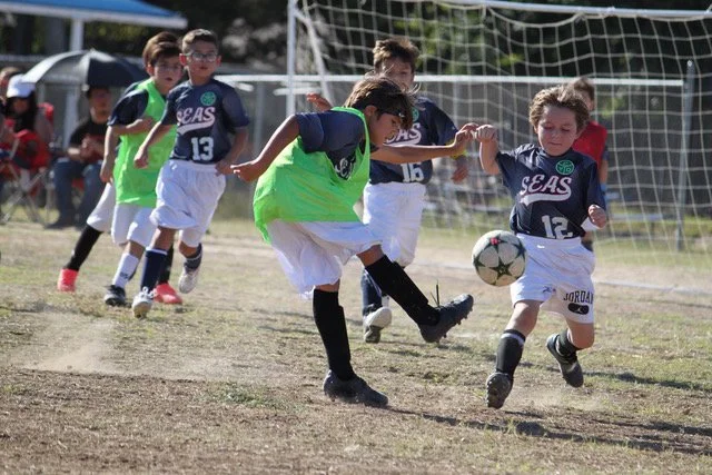 June World Cup Camp