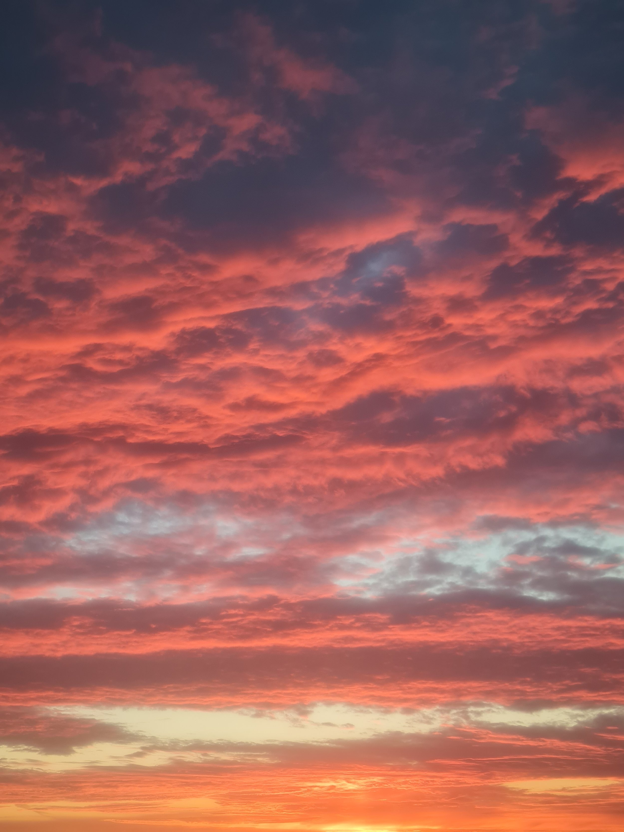 A soft sunset sky filled with rippling clouds in shades of pink, red, and blue, with a pale yellow horizon at the bottom.