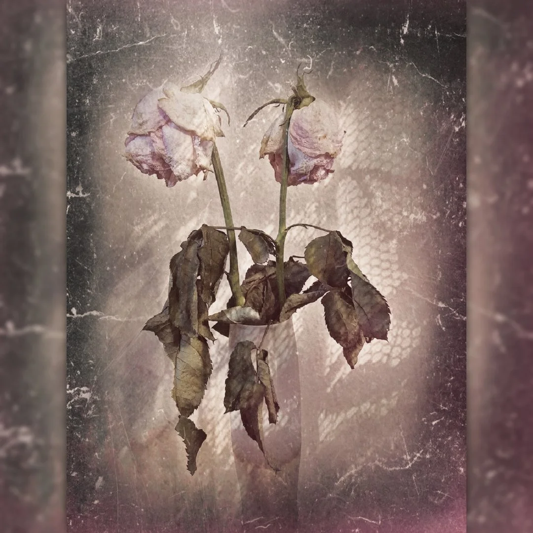 Two withered, pale pink roses in a vase, featuring a heavily textured, grainy vintage aesthetic with muted tones and a melancholic mood.