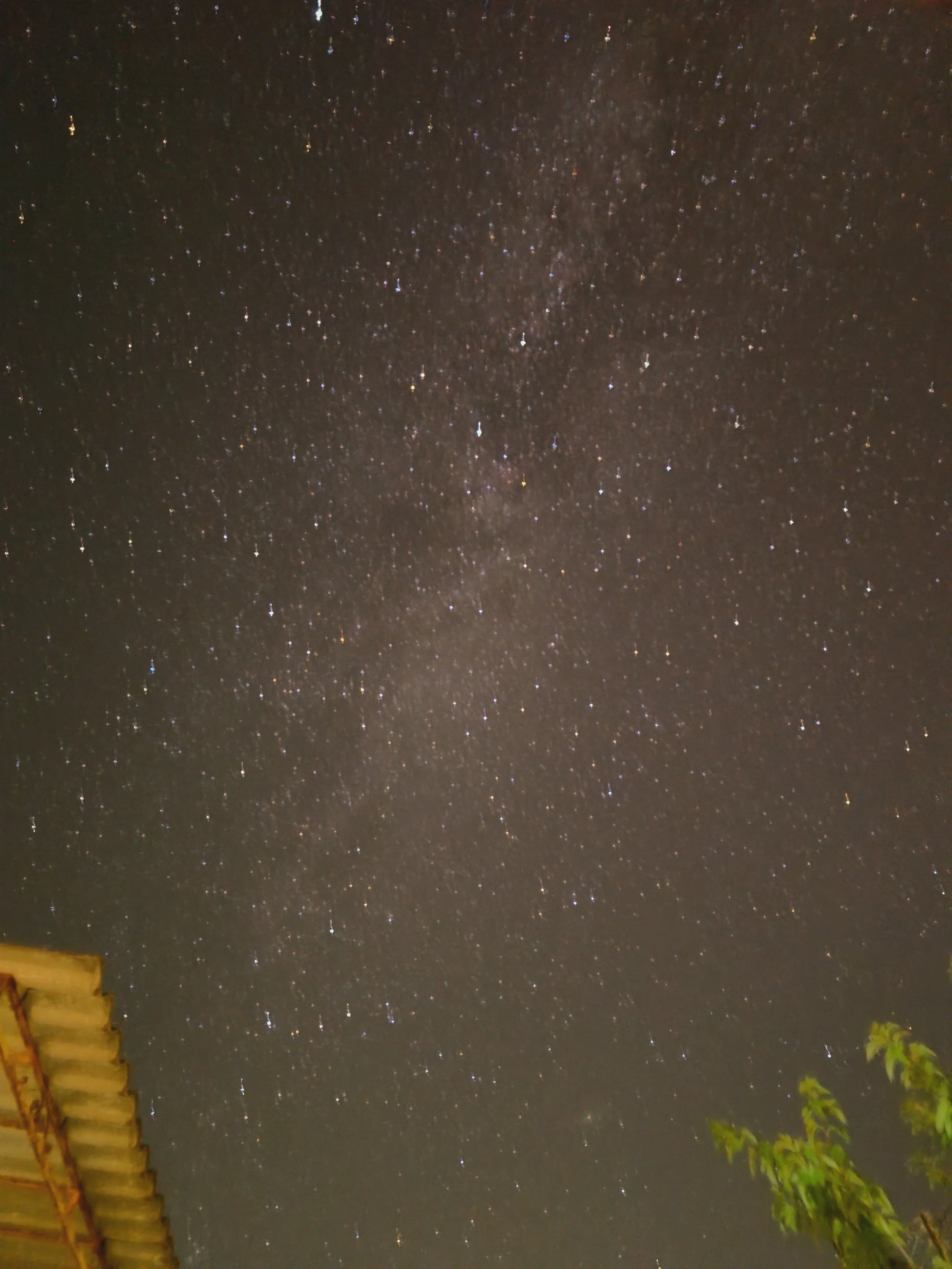 A wide shot of a starry night sky with a visible band of the Milky Way, framed by a rooftop edge and green leaves.