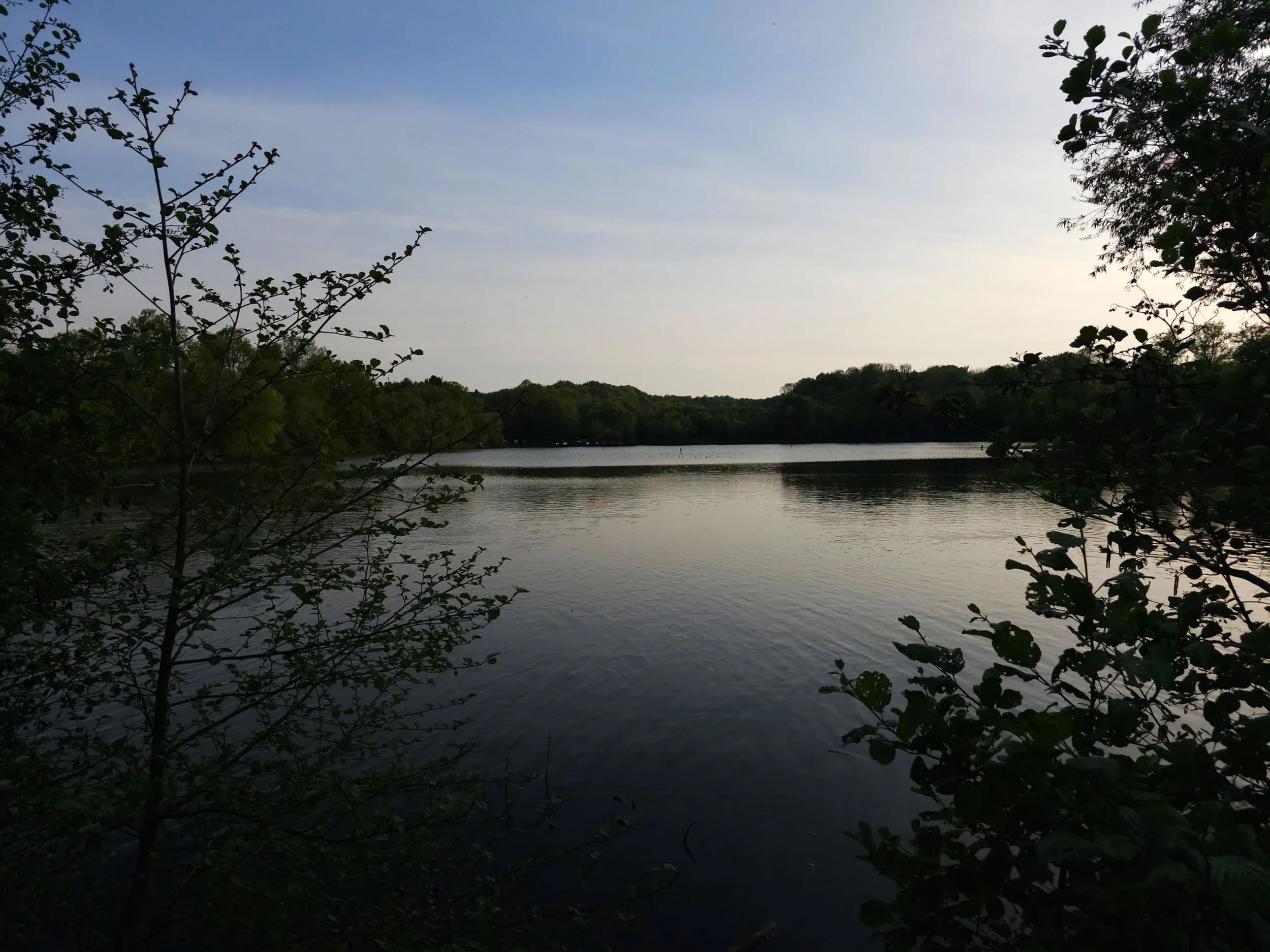 A serene wide landscape photograph of a calm lake surrounded by a dense forest of green trees under a soft blue evening sky, framed by dark leaves in the foreground.
