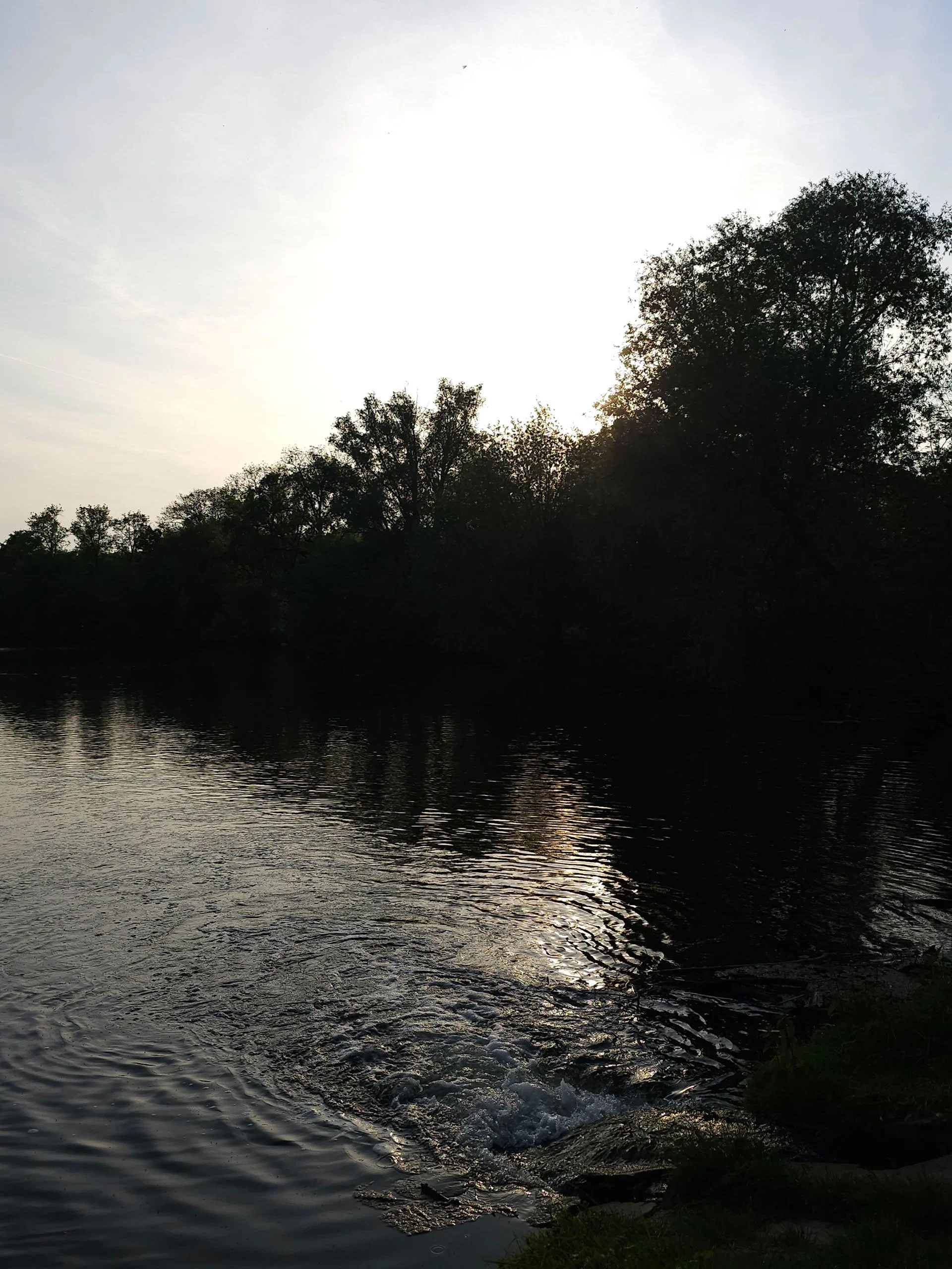 A wide-angle shot of a lake with gentle ripples reflecting the late afternoon sun, featuring dark silhouettes of trees along the shoreline and bubbling water in the foreground.