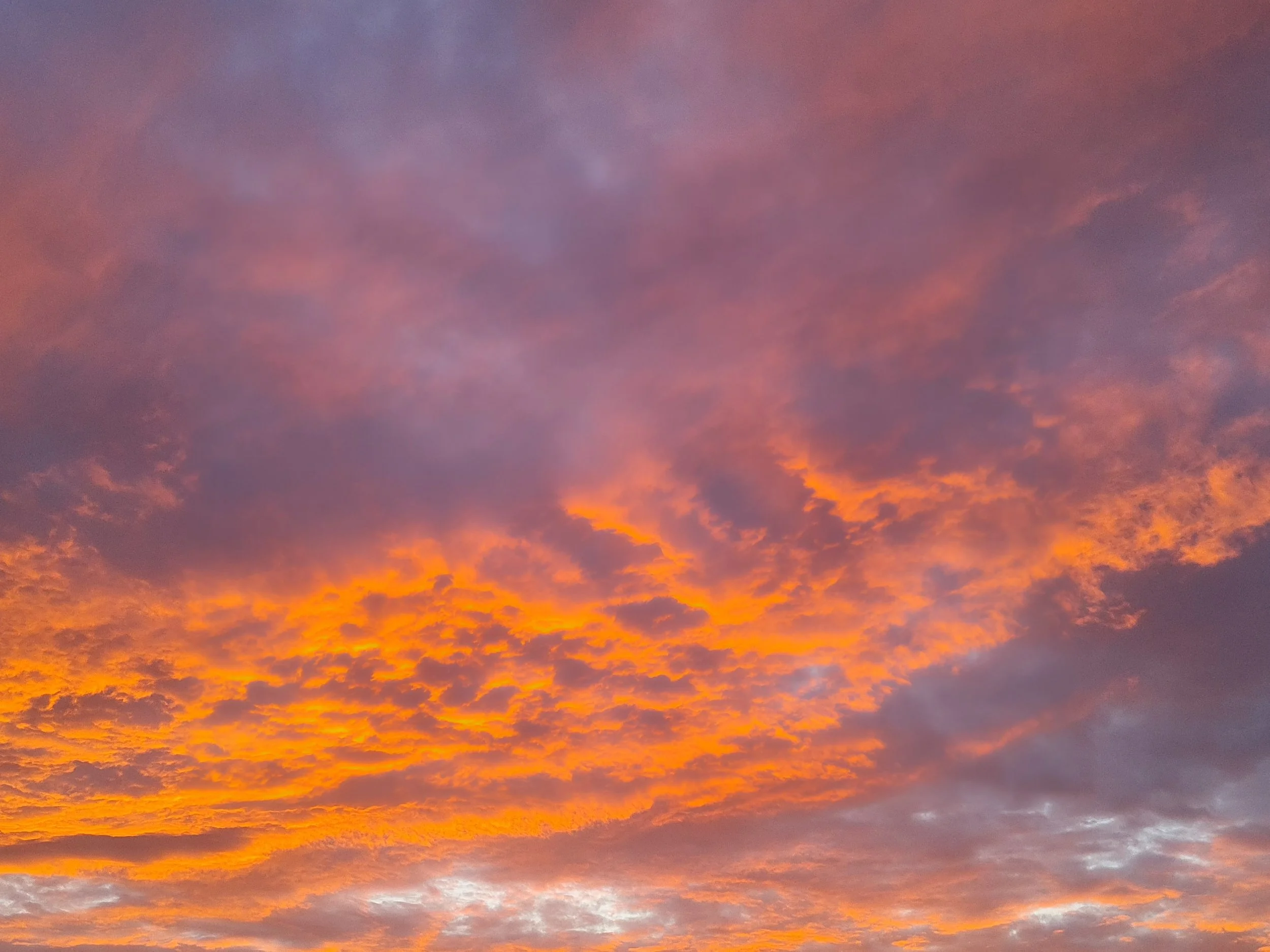 A vibrant evening sky with a dense blanket of clouds glowing in bright orange and deep purple tones.