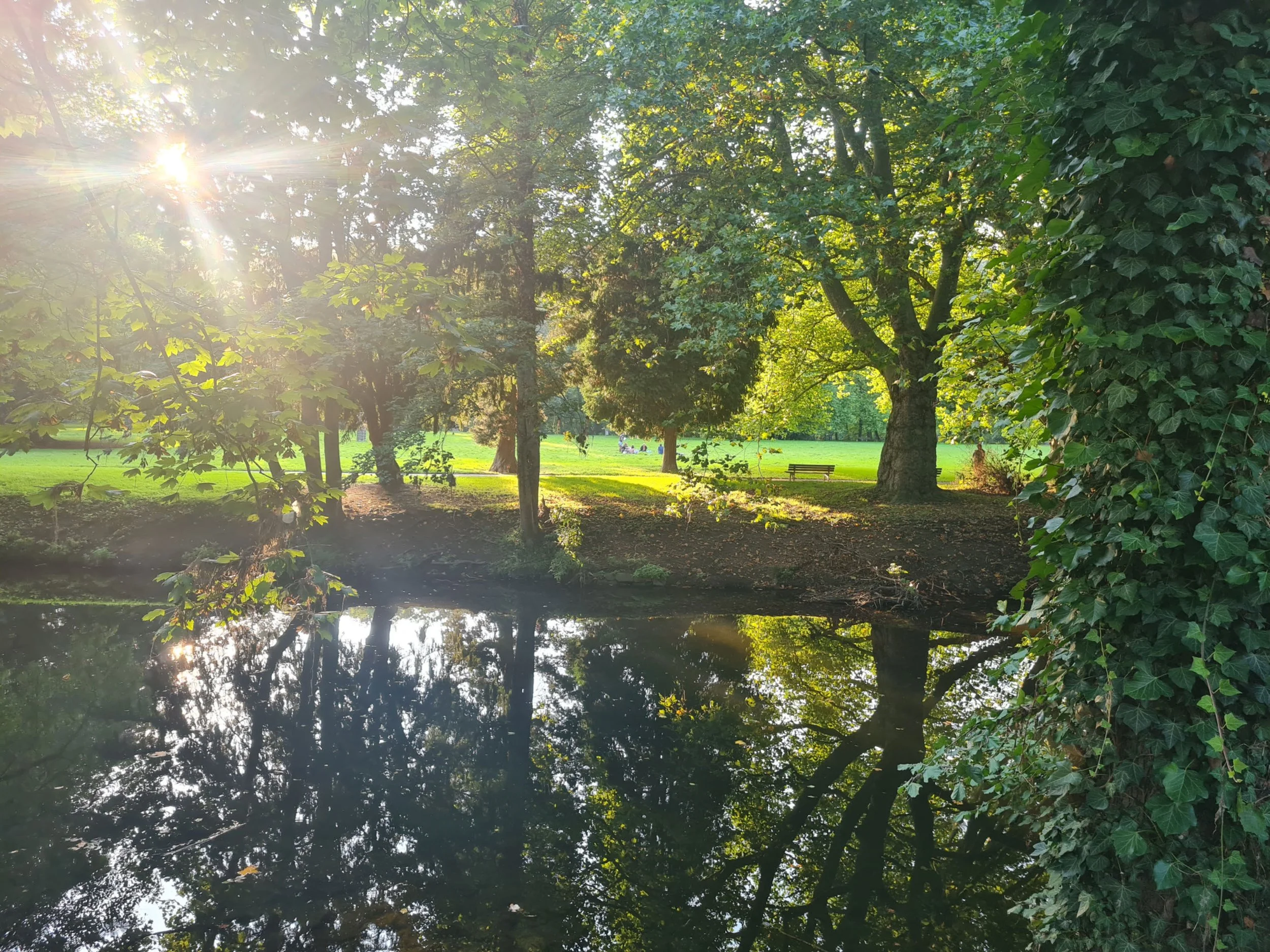 A bright sun flare illuminating a green park, with tall trees perfectly reflecting on the calm surface of a river.