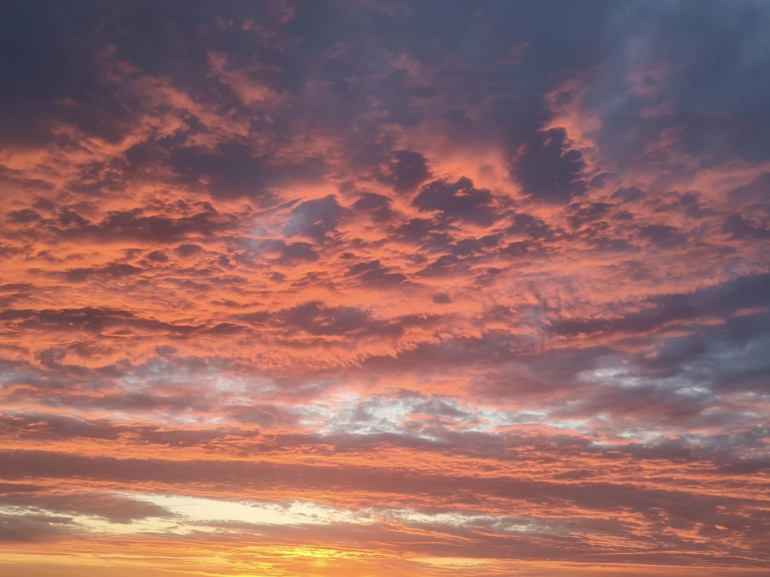 A dramatic sky filled with scattered clouds illuminated in vibrant shades of orange, red, and deep purple during a vivid sunset.