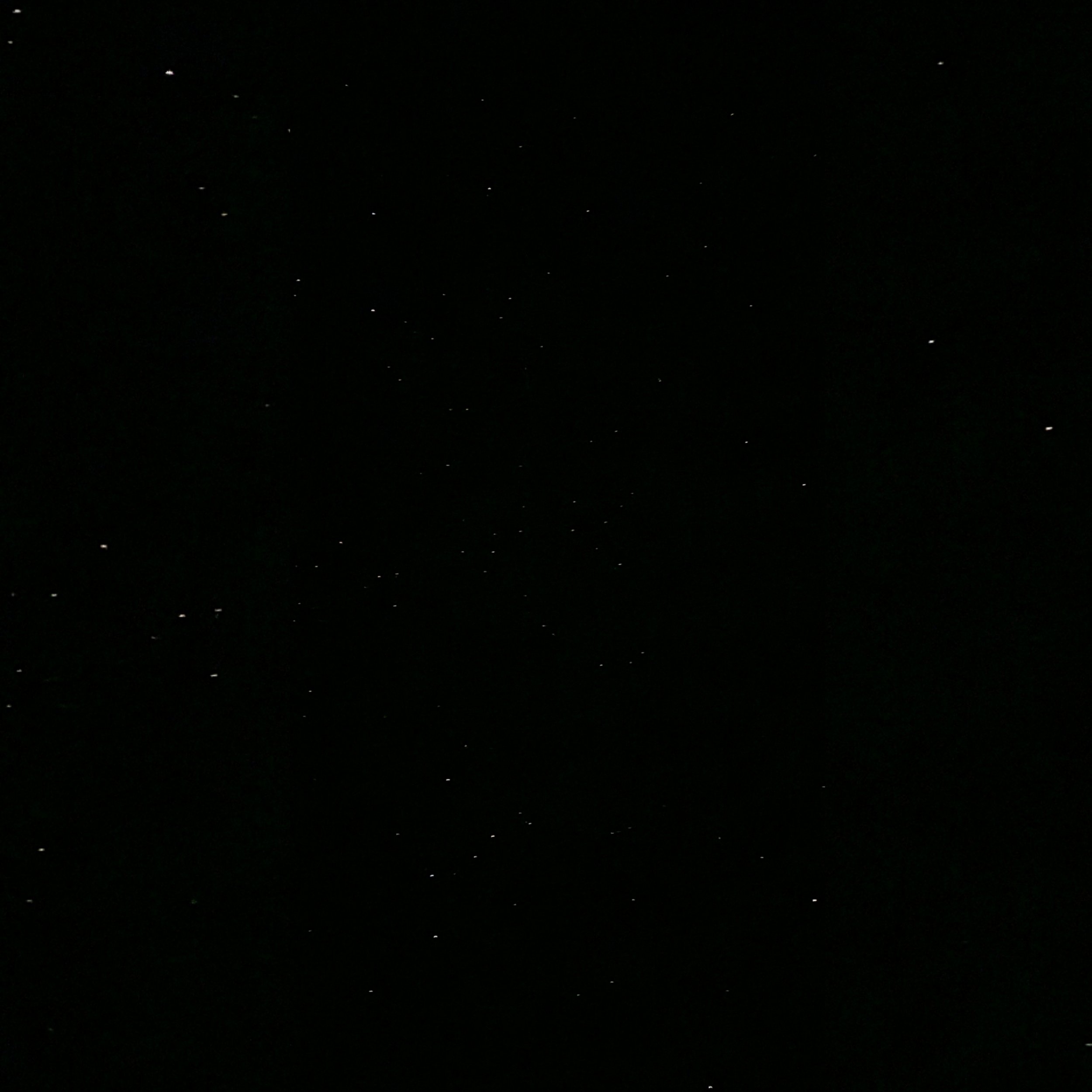 A pitch-black night sky dotted with numerous small, faintly glowing stars spread across the entire frame.