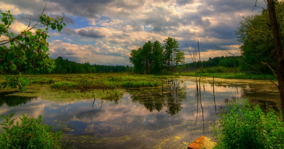 The calm Assabet river with water reflecting a cloudy sky, surrounded by green vegetation and trees.
