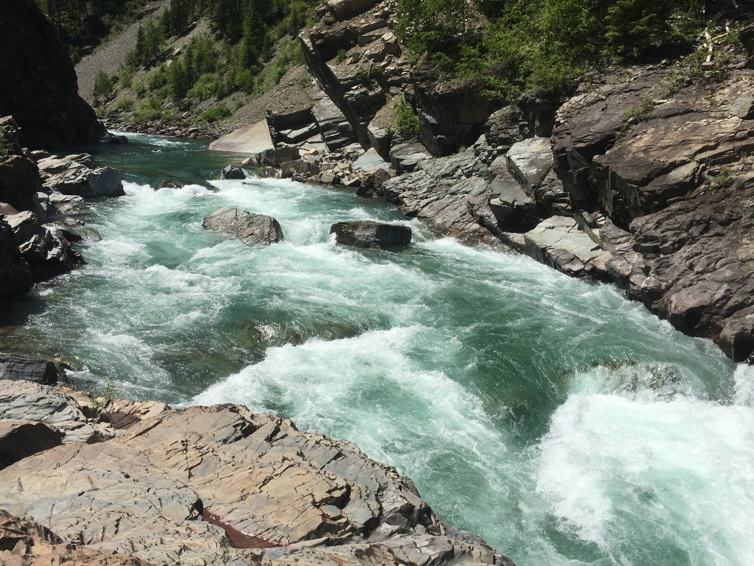 A rushing mountain river - the middle fork of the flathead - flowing through rocky terrain with steep, forested slopes on either side.