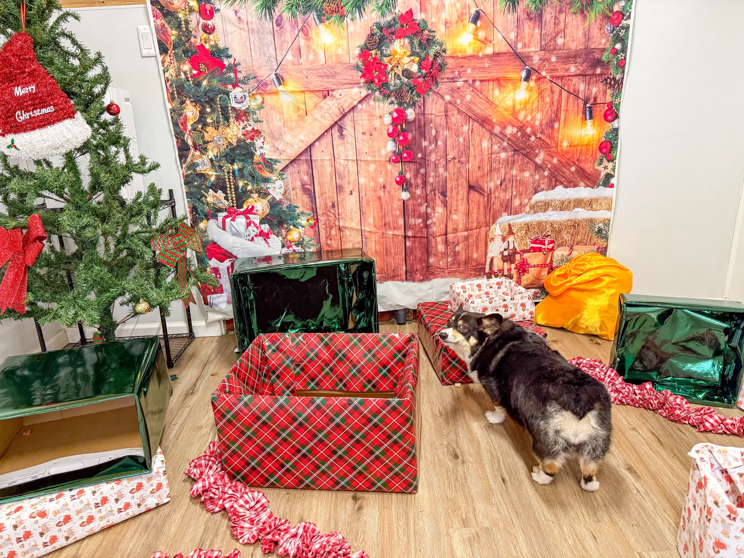 The image depicts a festive Christmas scene with a decorated Christmas tree on the left, wrapped gifts underneath, and a backdrop that looks like a wooden barn wall with holiday decorations. There are string lights, ornaments, and wreaths. A black and white dog is standing in front of a red and green plaid gift box, looking to the side.