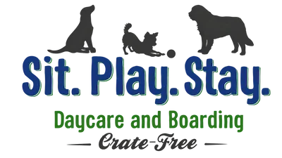 Sit. Play. Stay.