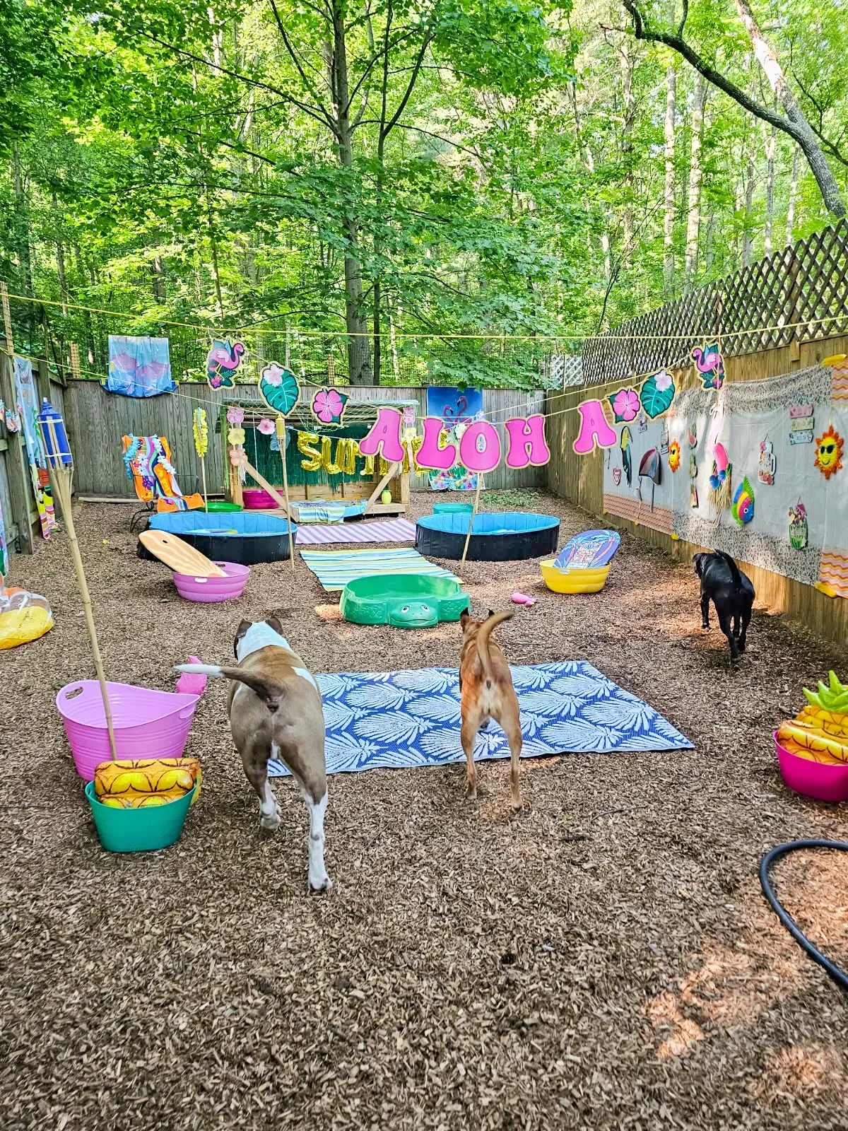Backyard area decorated for summer with hanging pink and yellow 'Aloha' banner, tropical-themed decorations, small pools, colorful towels, and toys. Three dogs are seen walking on a wood chip ground.